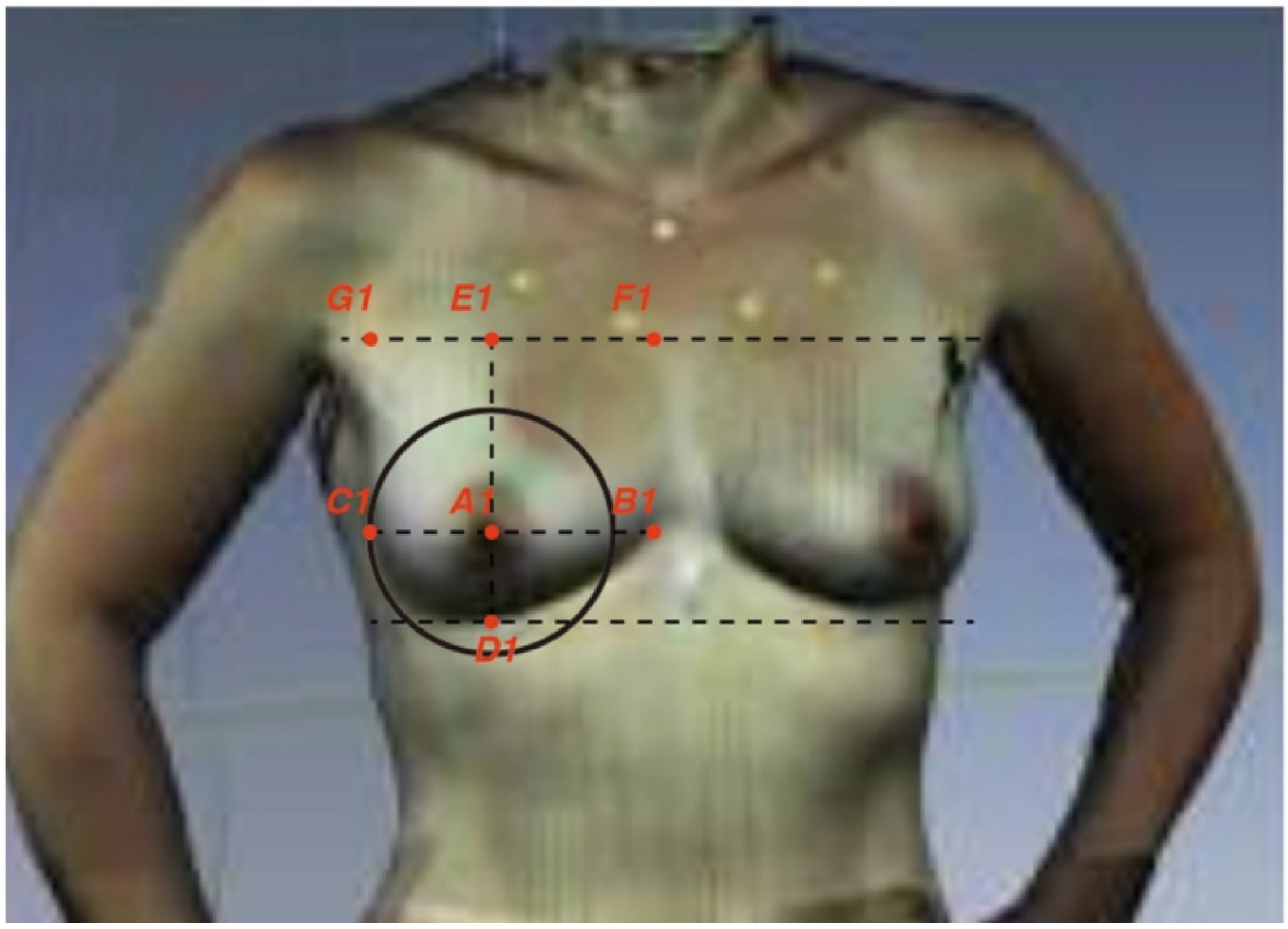 Applsci 14 10071 g002