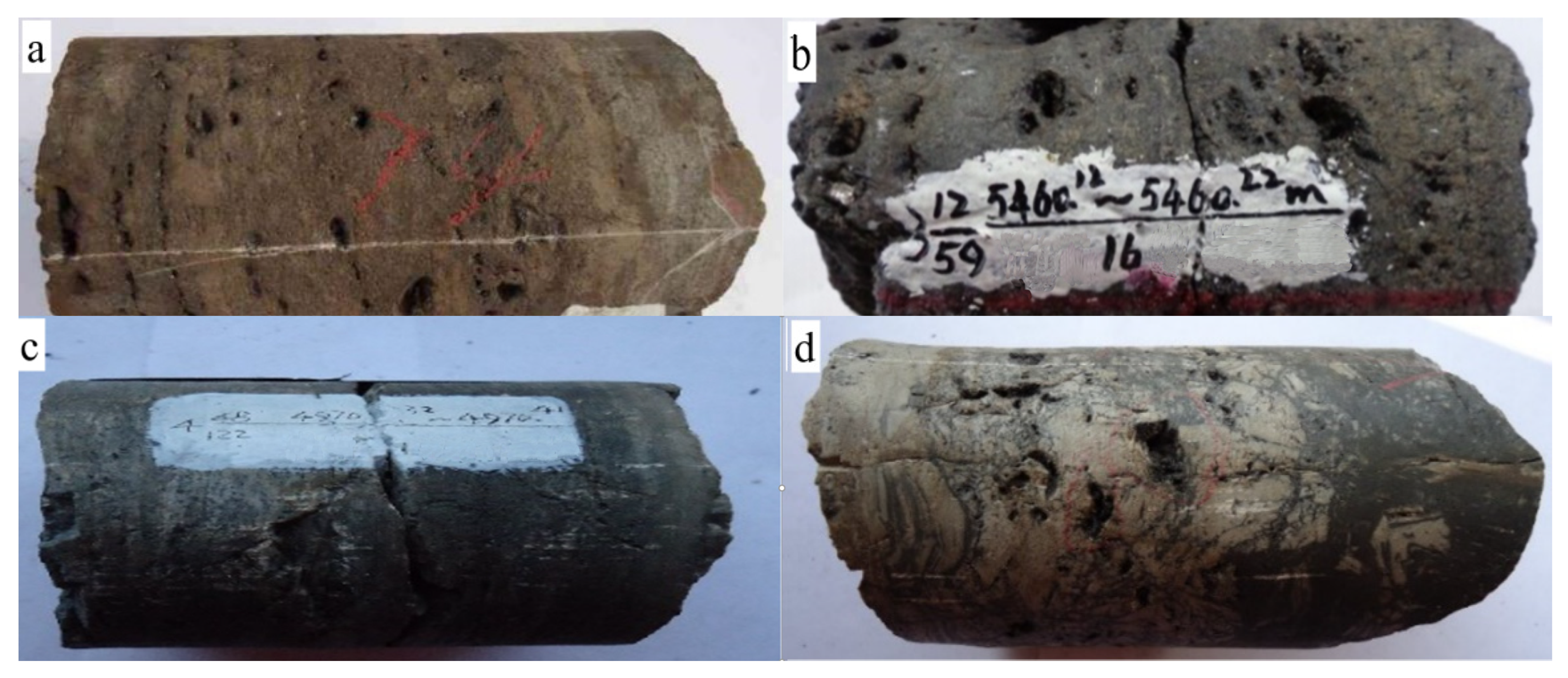 Applsci 14 10099 g002