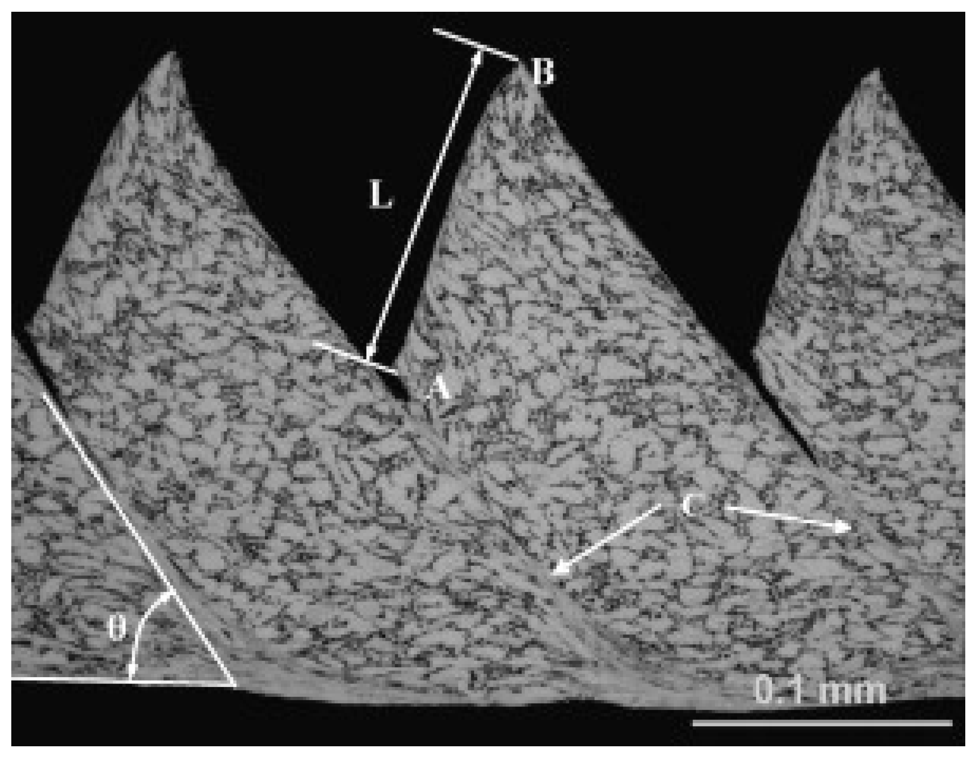 Applsci 14 10340 g006 Applsci 14 10340 g006