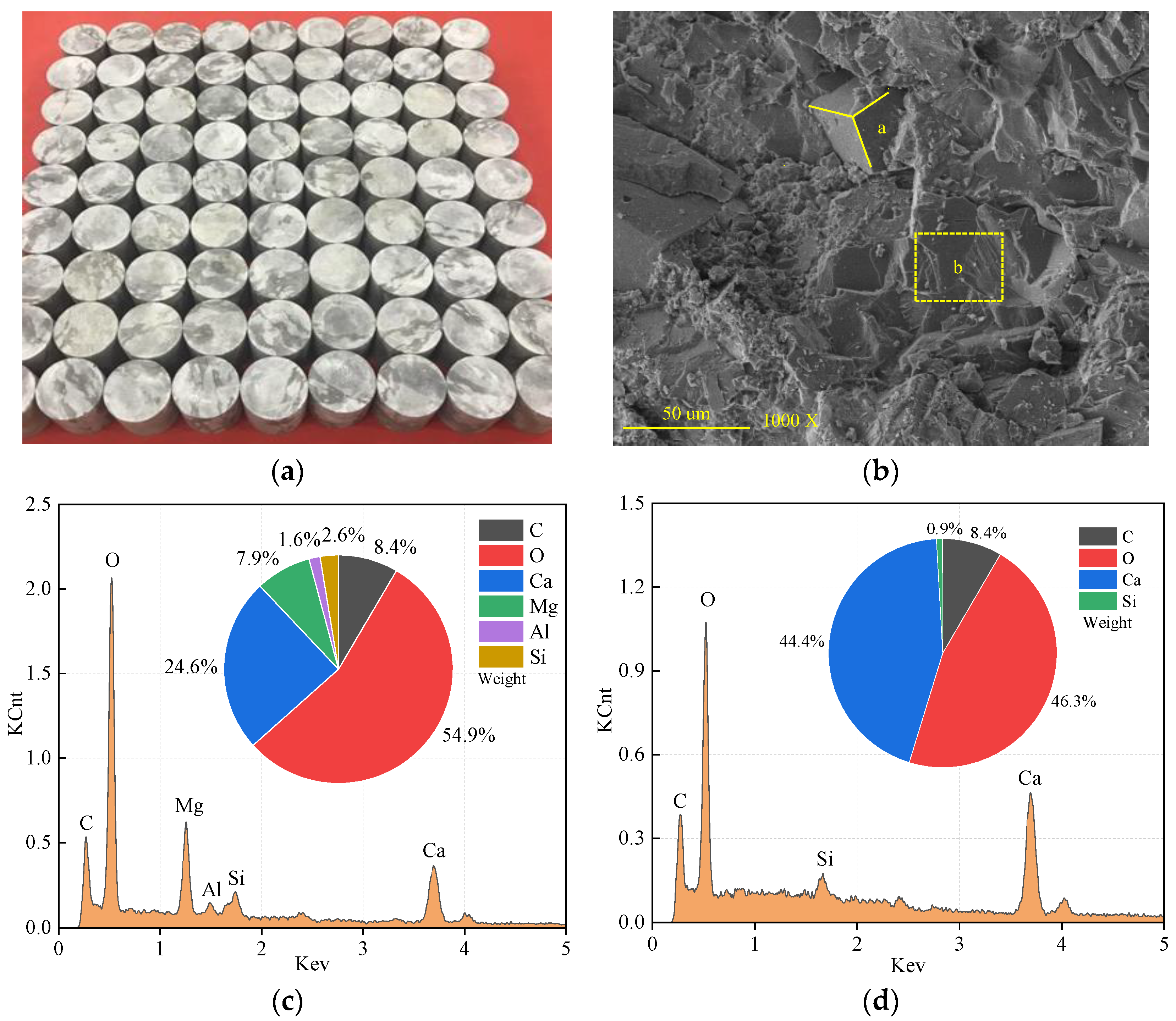 Applsci 14 10486 g001