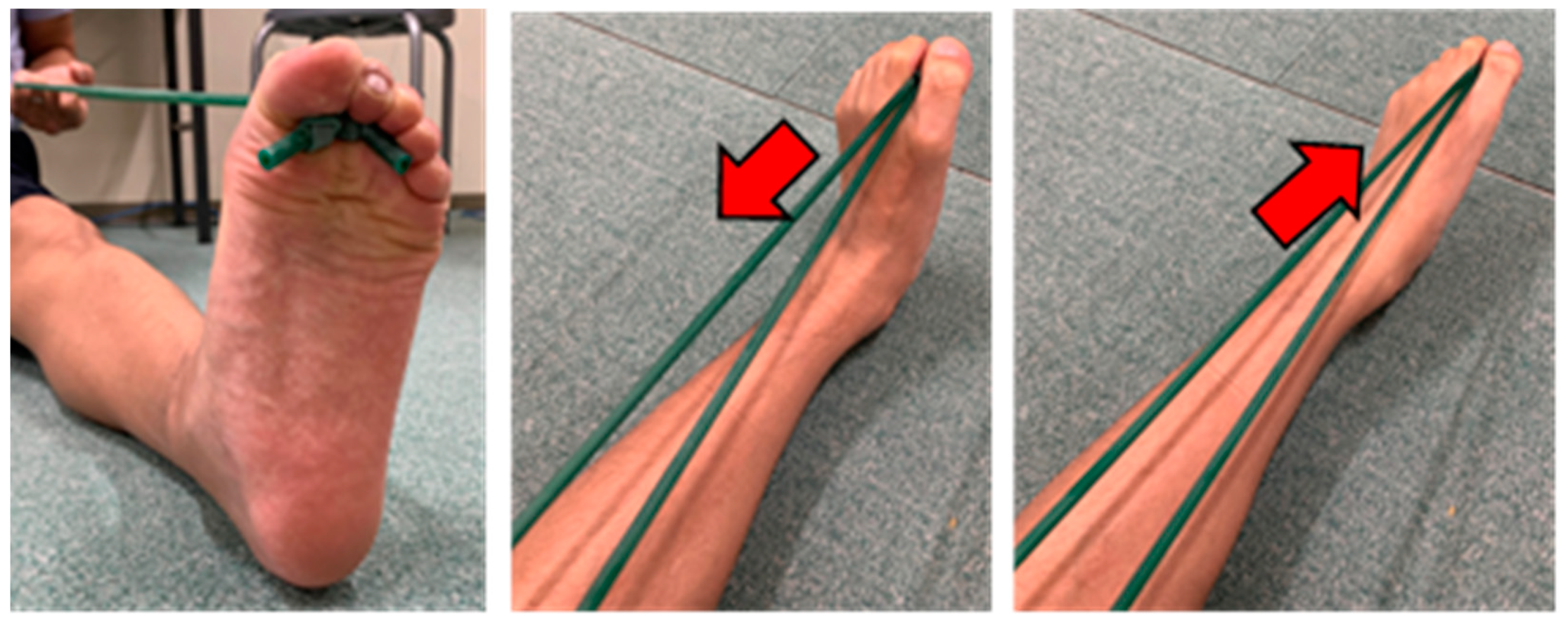 Applsci 14 10514 g002