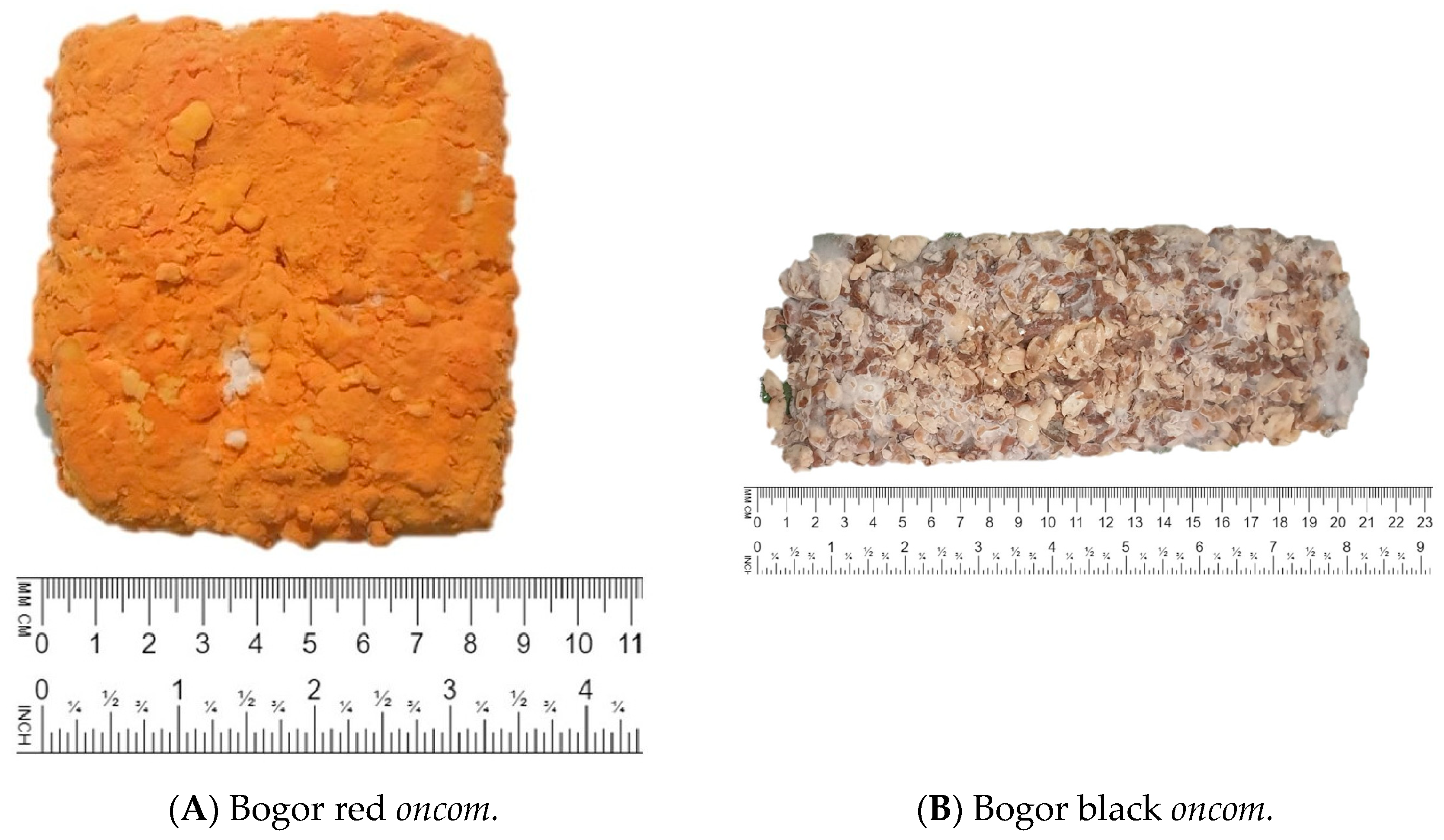 Applsci 14 10702 g001