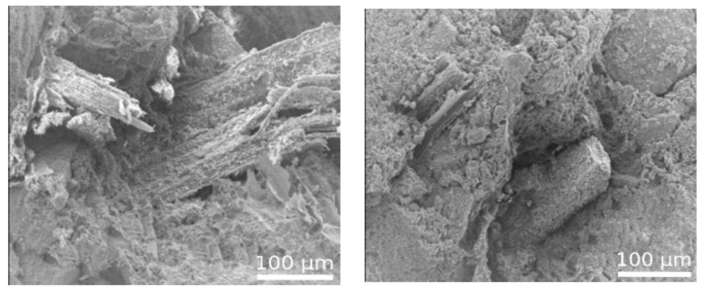 Applsci 14 10786 g013