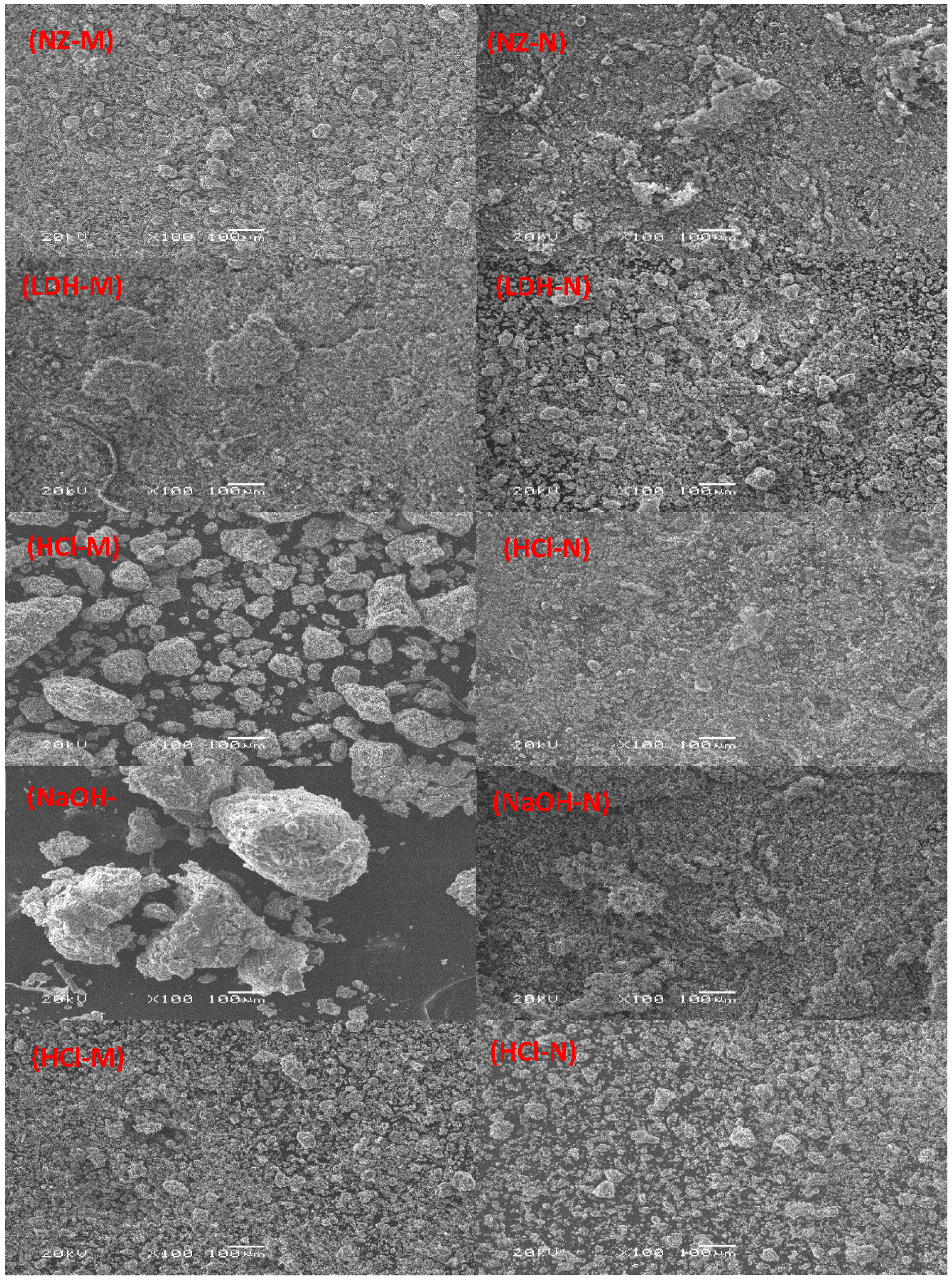 Applsci 14 10864 g002