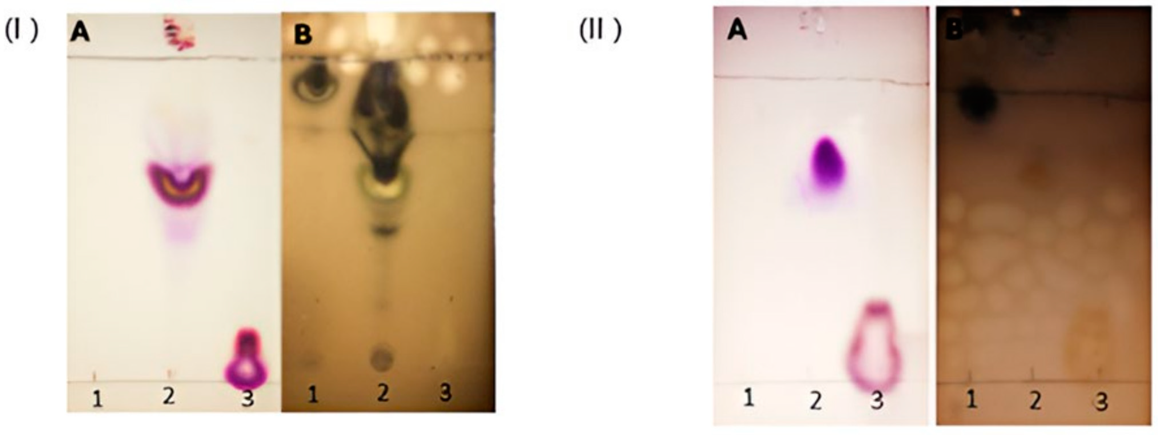 Applsci 14 10892 g002