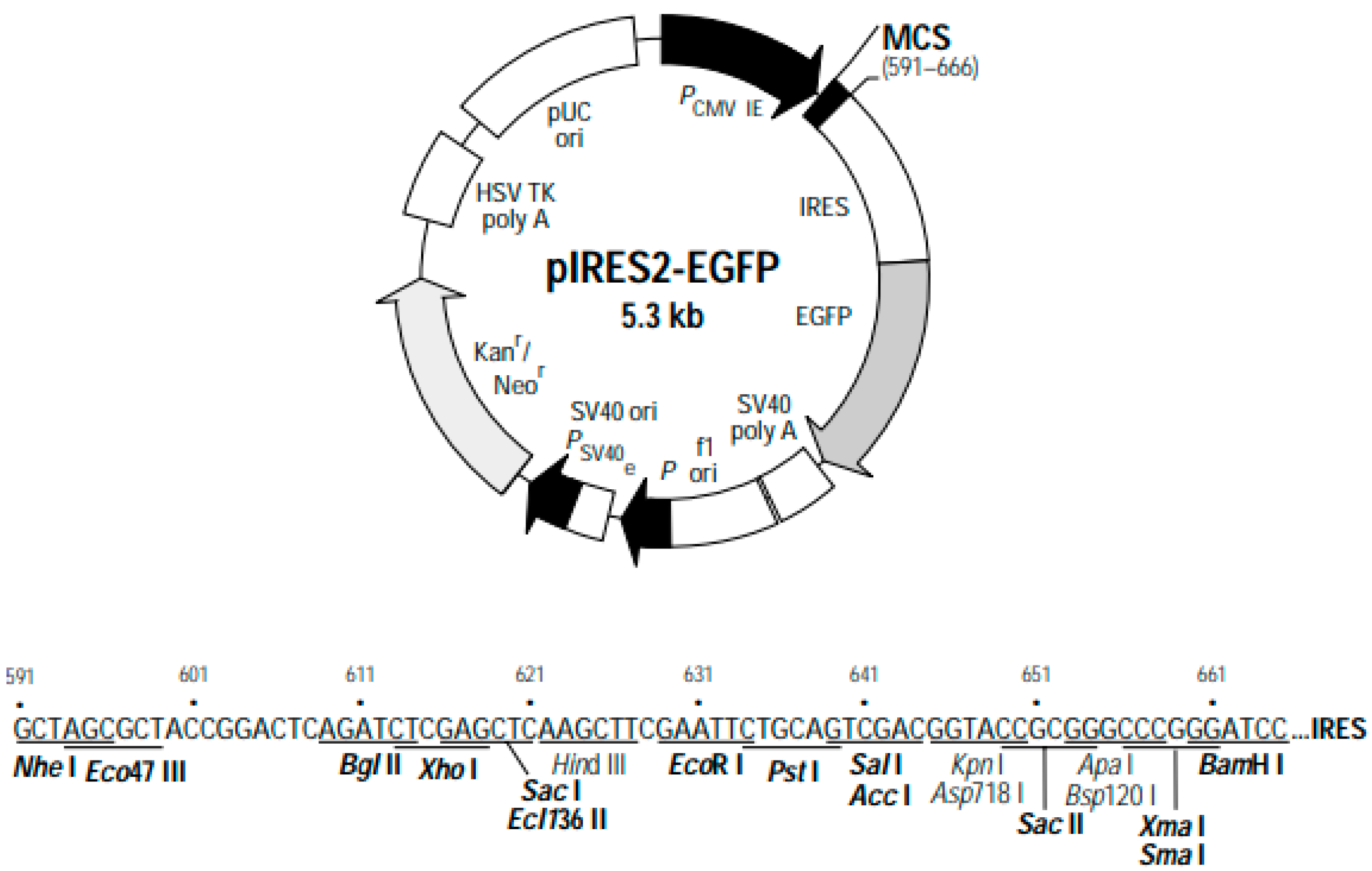 Applsci 14 10892 g005
