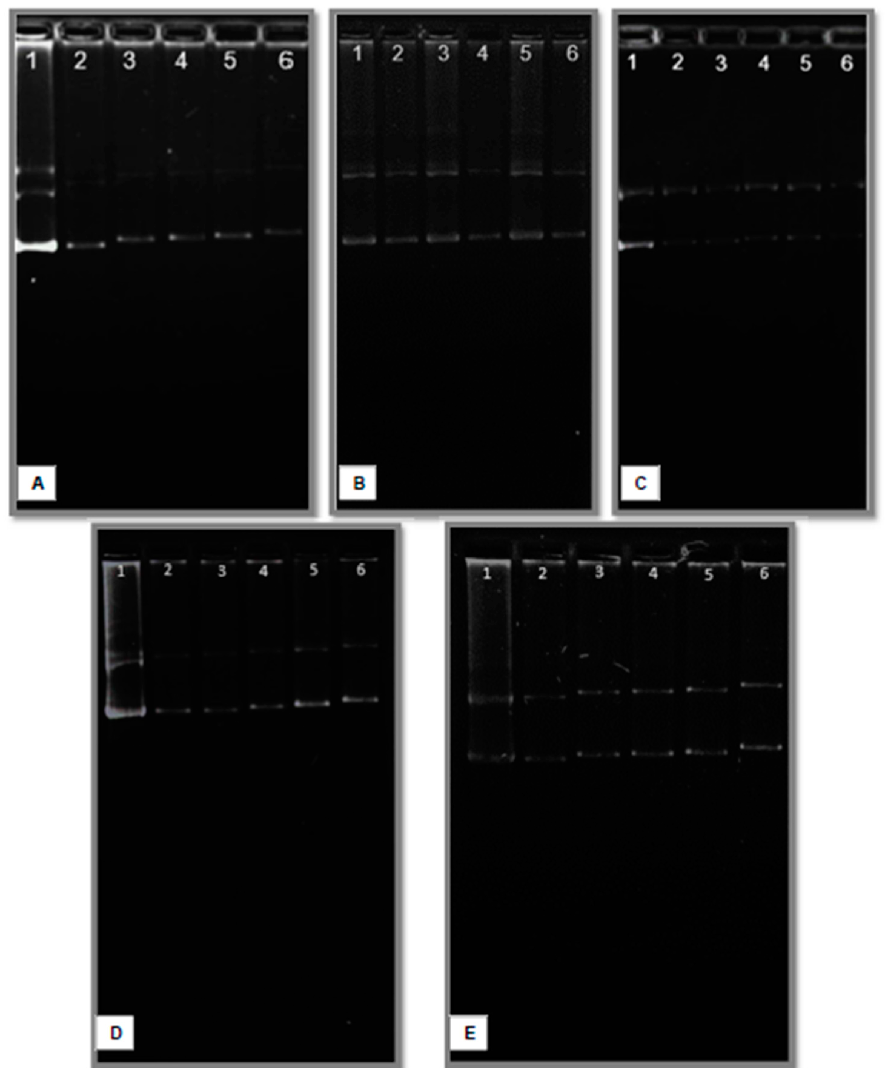 Applsci 14 10892 g007