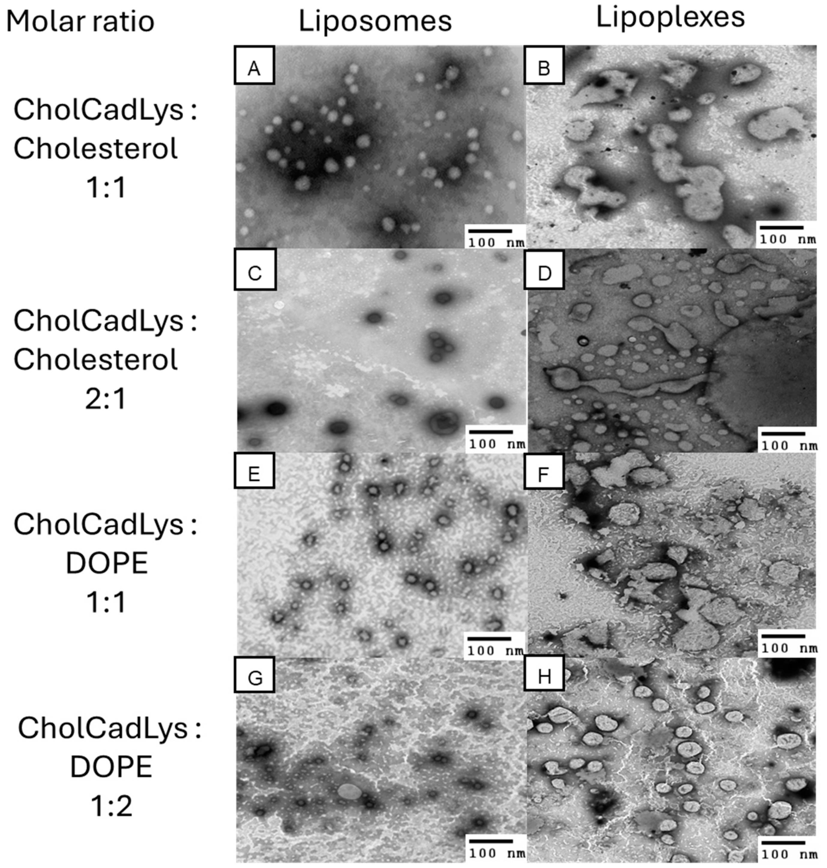 Applsci 14 10892 g008