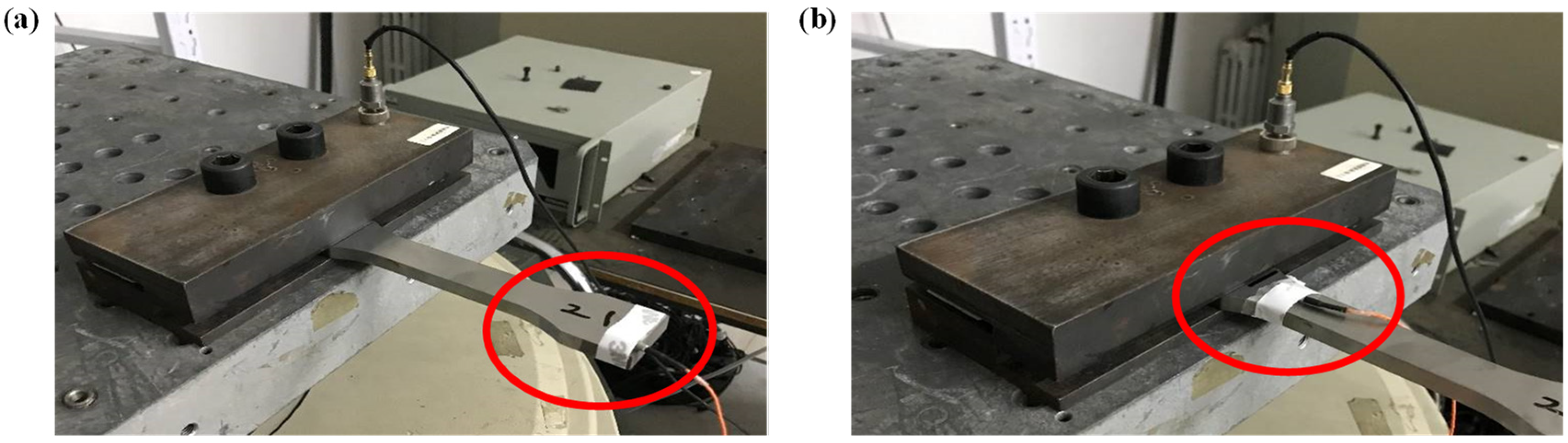 Applsci 14 11056 g007