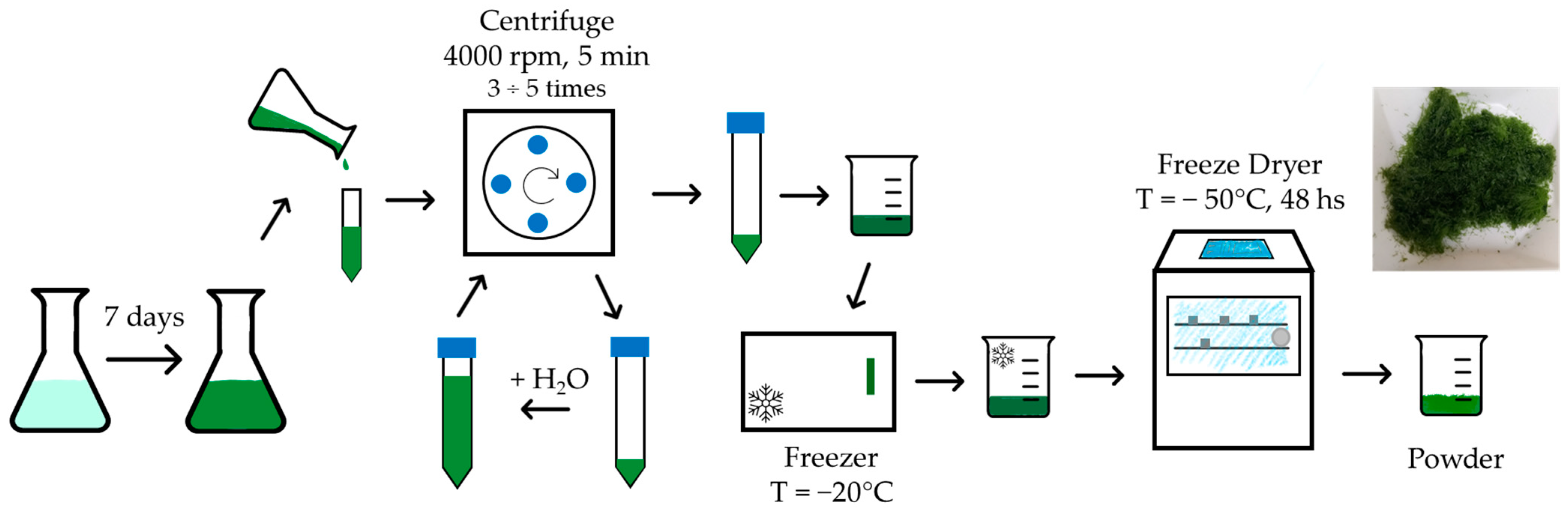 Applsci 14 11057 g001