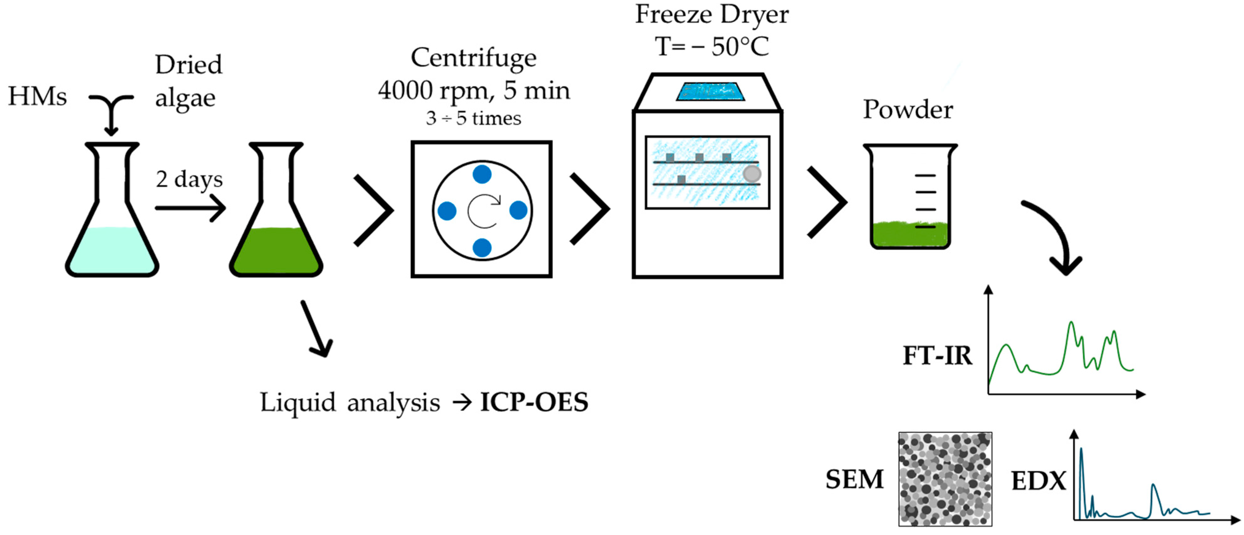 Applsci 14 11057 g002
