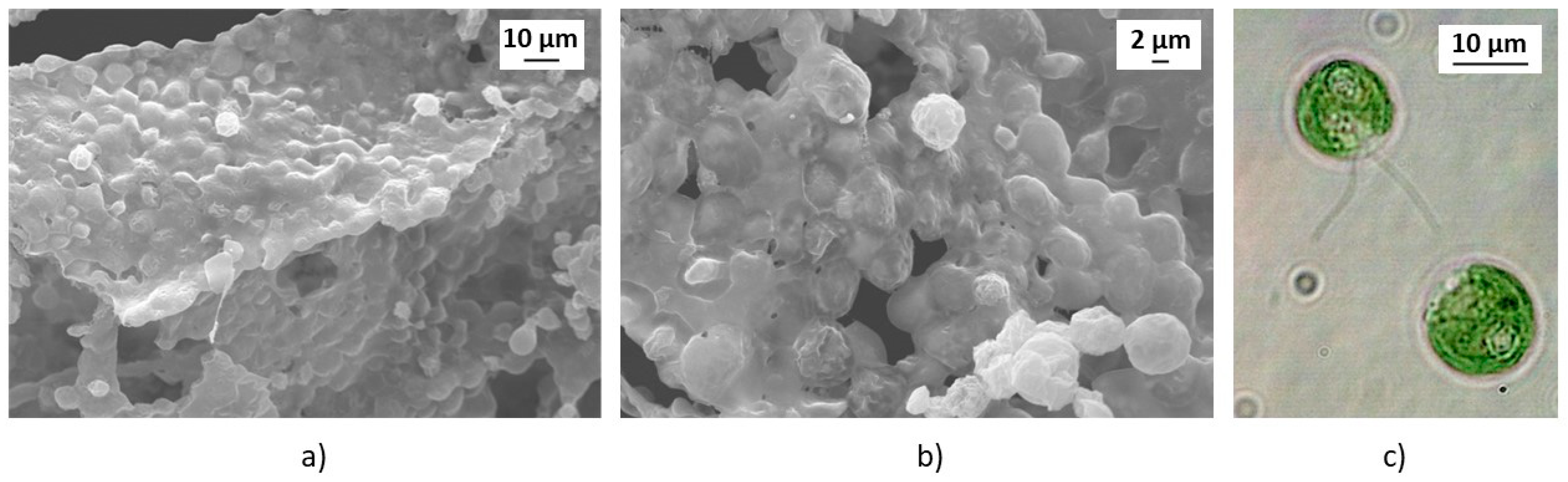 Applsci 14 11057 g004