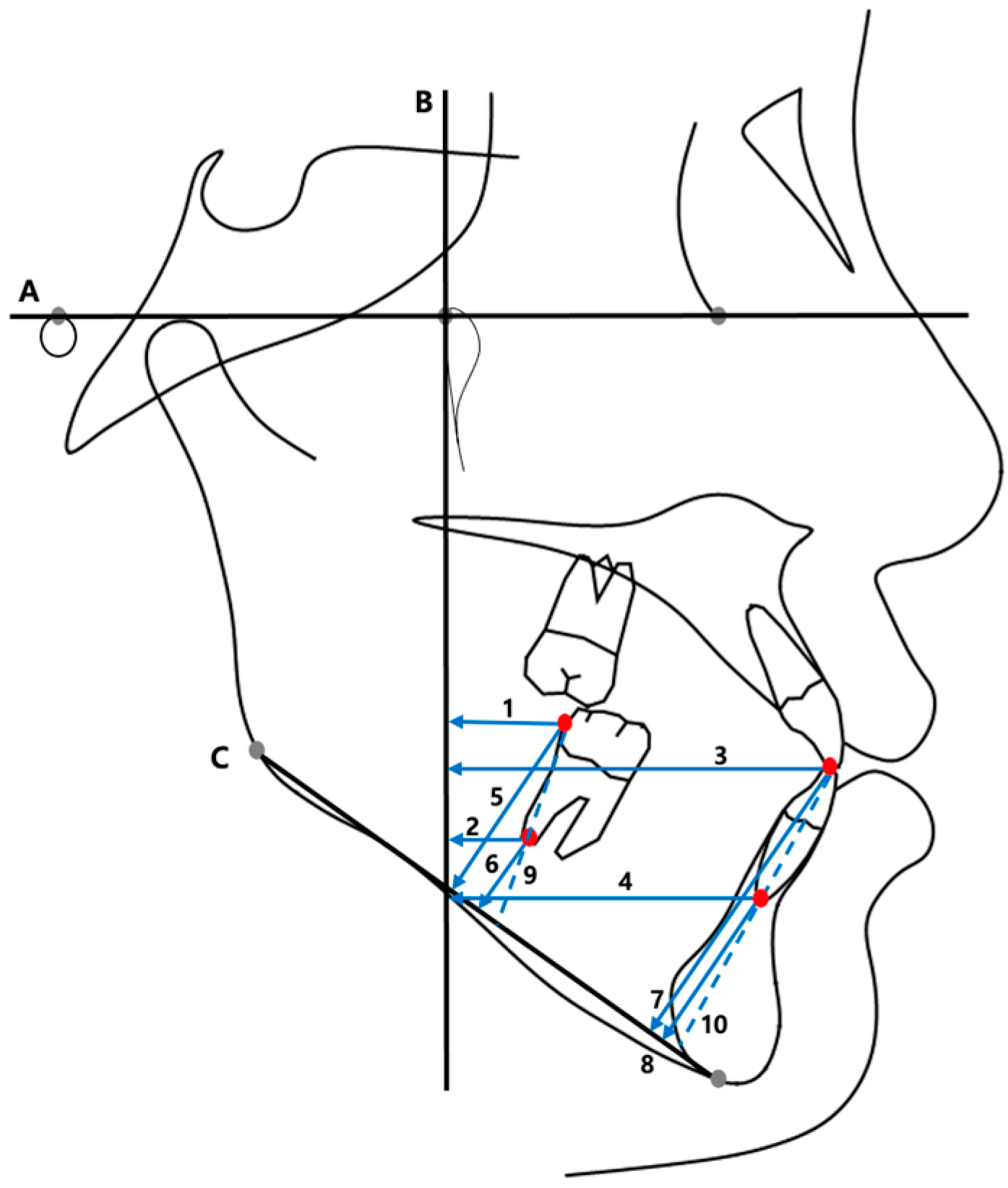 Applsci 14 11157 g004