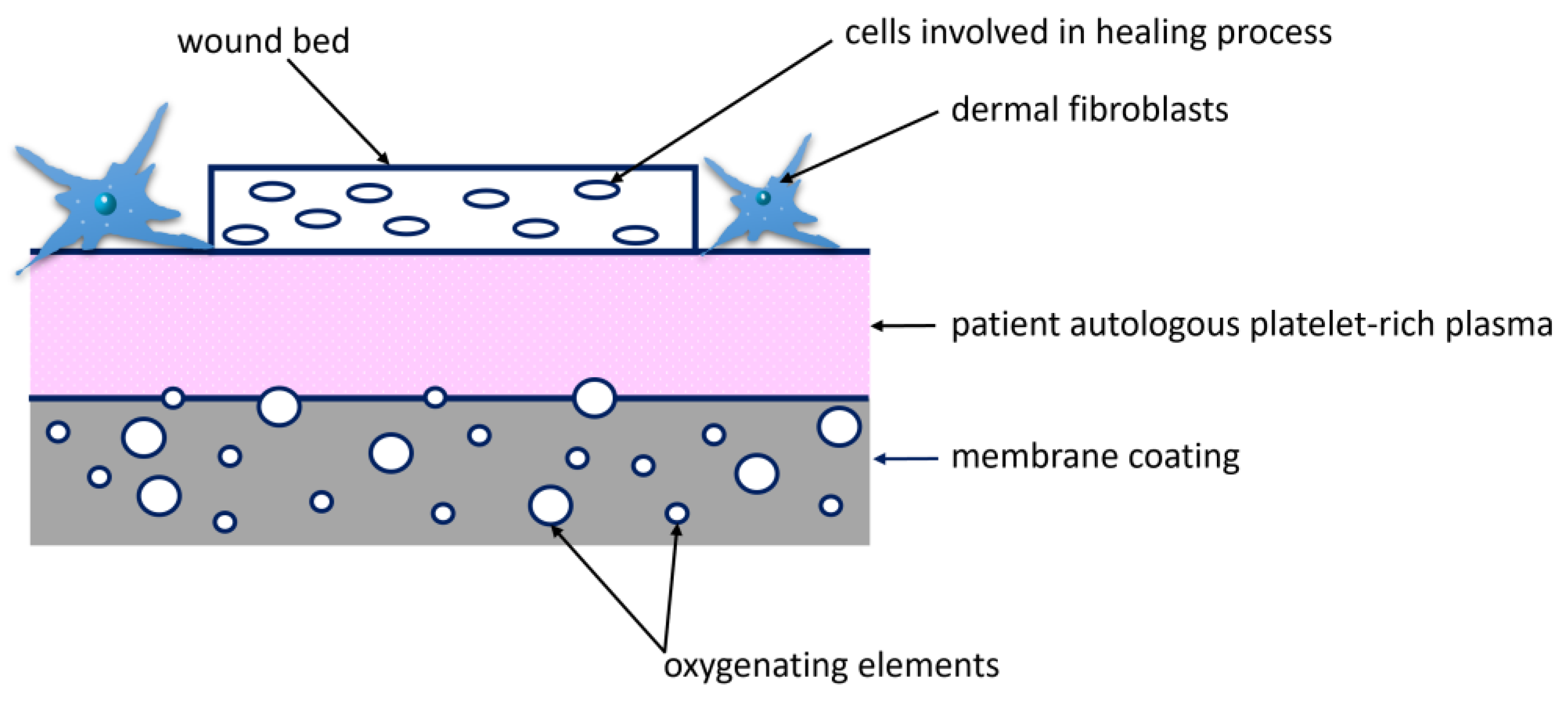 Applsci 14 11200 g001