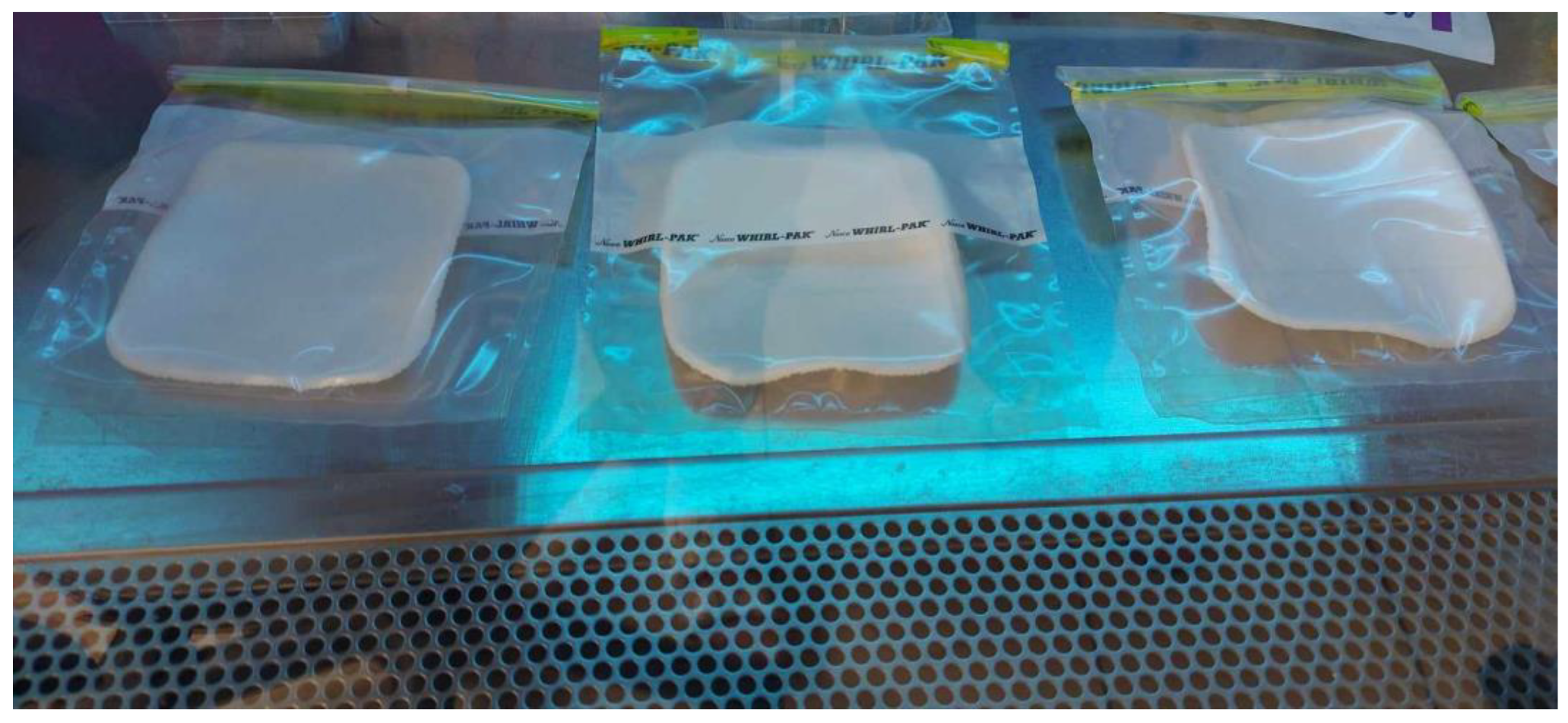 Applsci 14 11200 g002