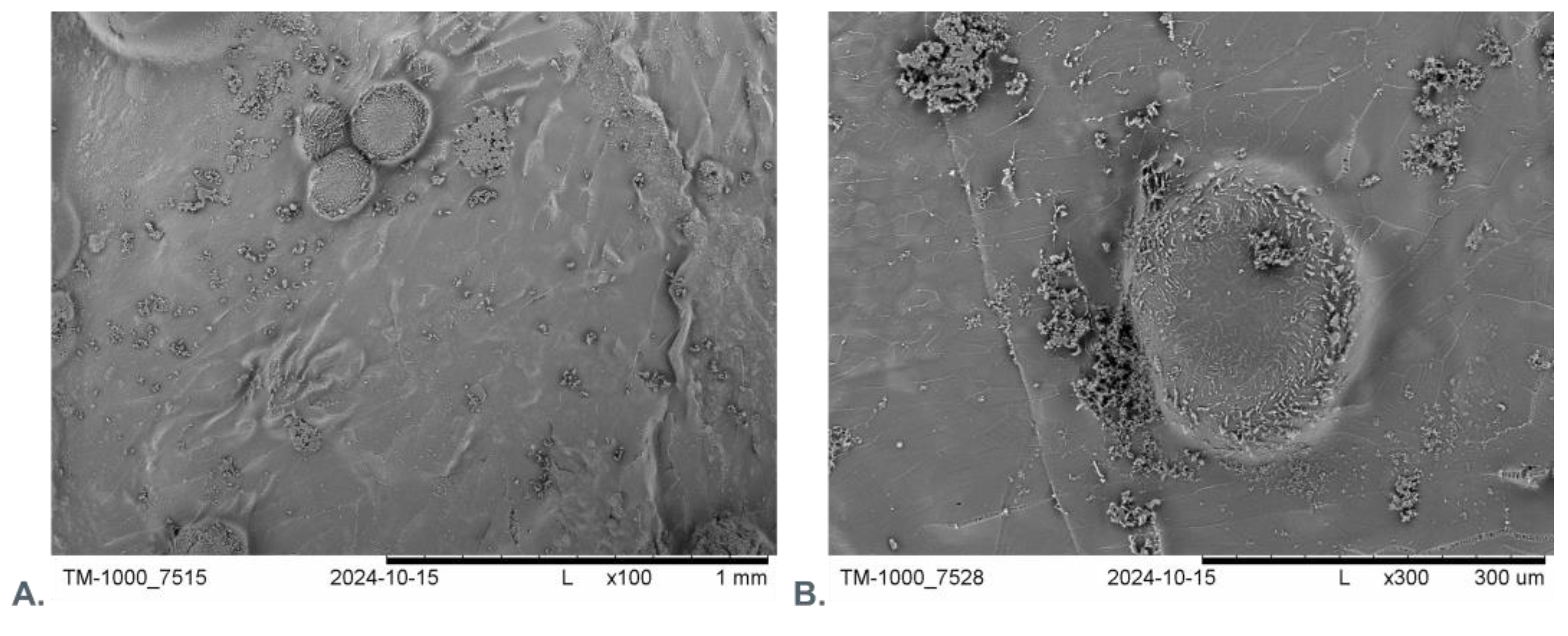 Applsci 14 11200 g006