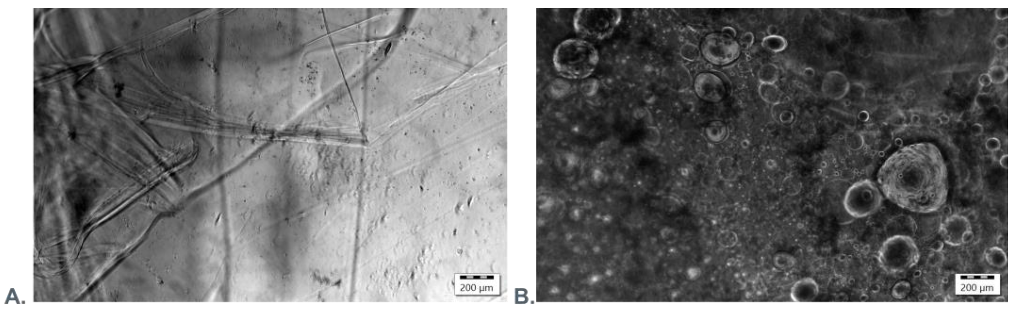 Applsci 14 11200 g007