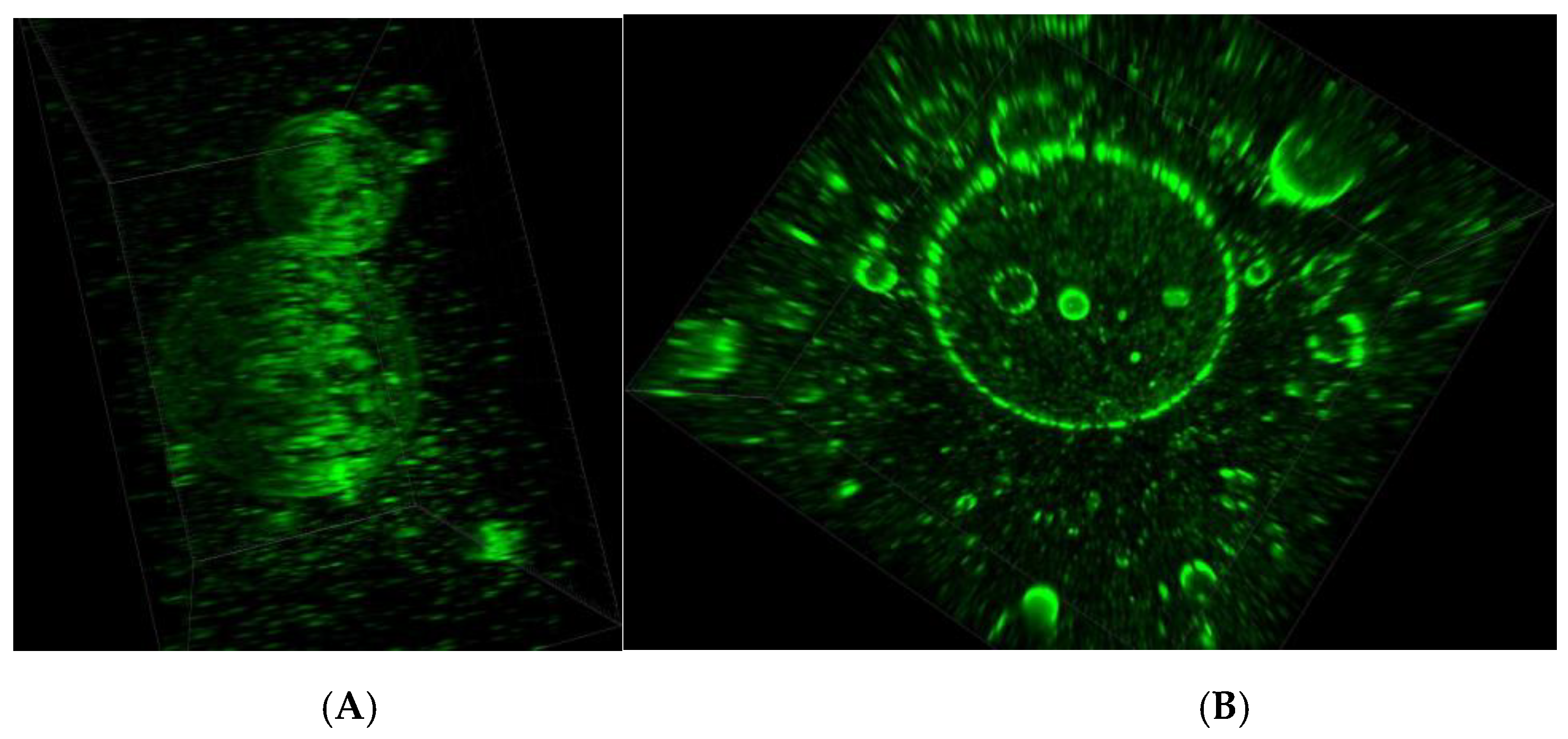 Applsci 14 11200 g009