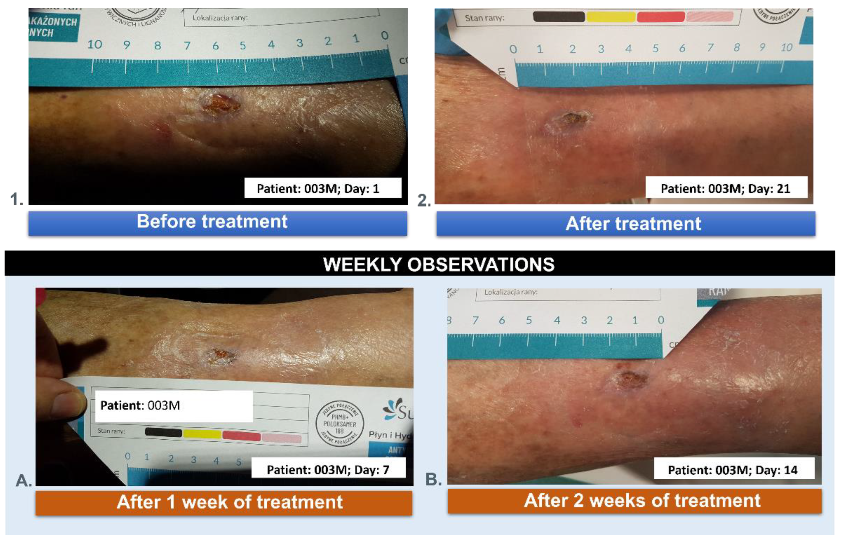 Applsci 14 11200 g013