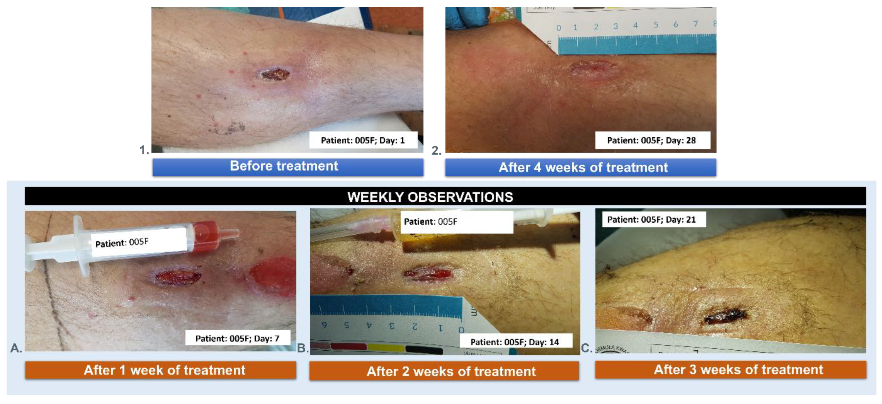 Applsci 14 11200 g015