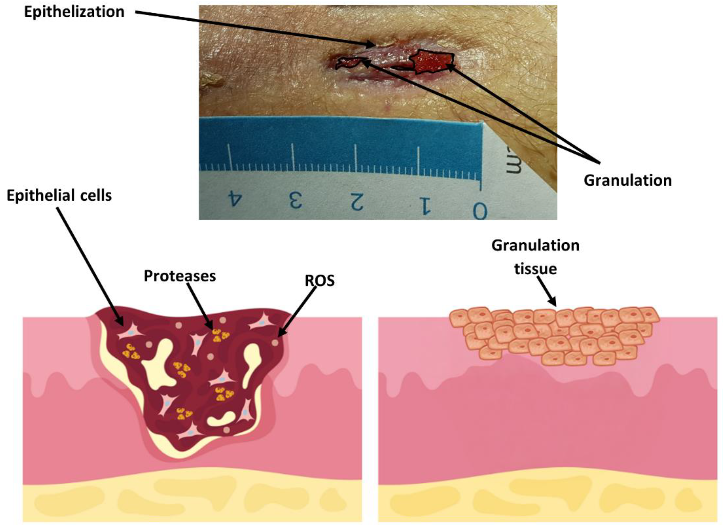 Applsci 14 11200 g017