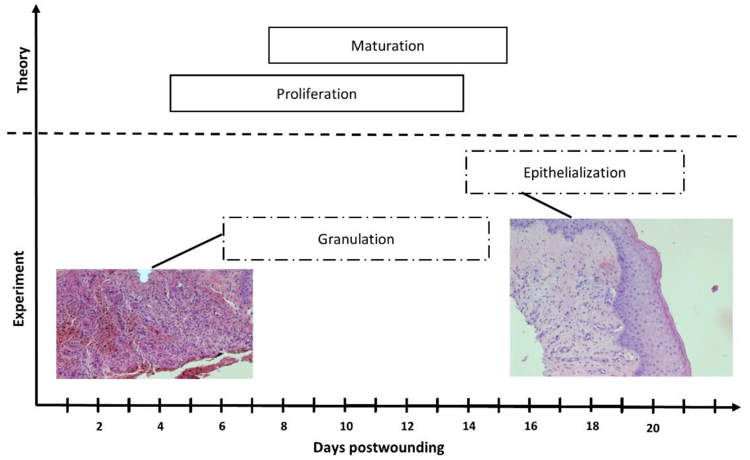 Applsci 14 11200 g018