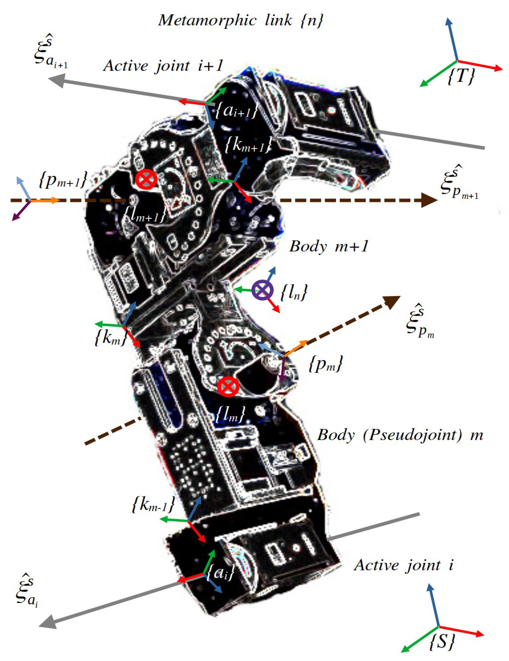 Applsci 14 11265 g001