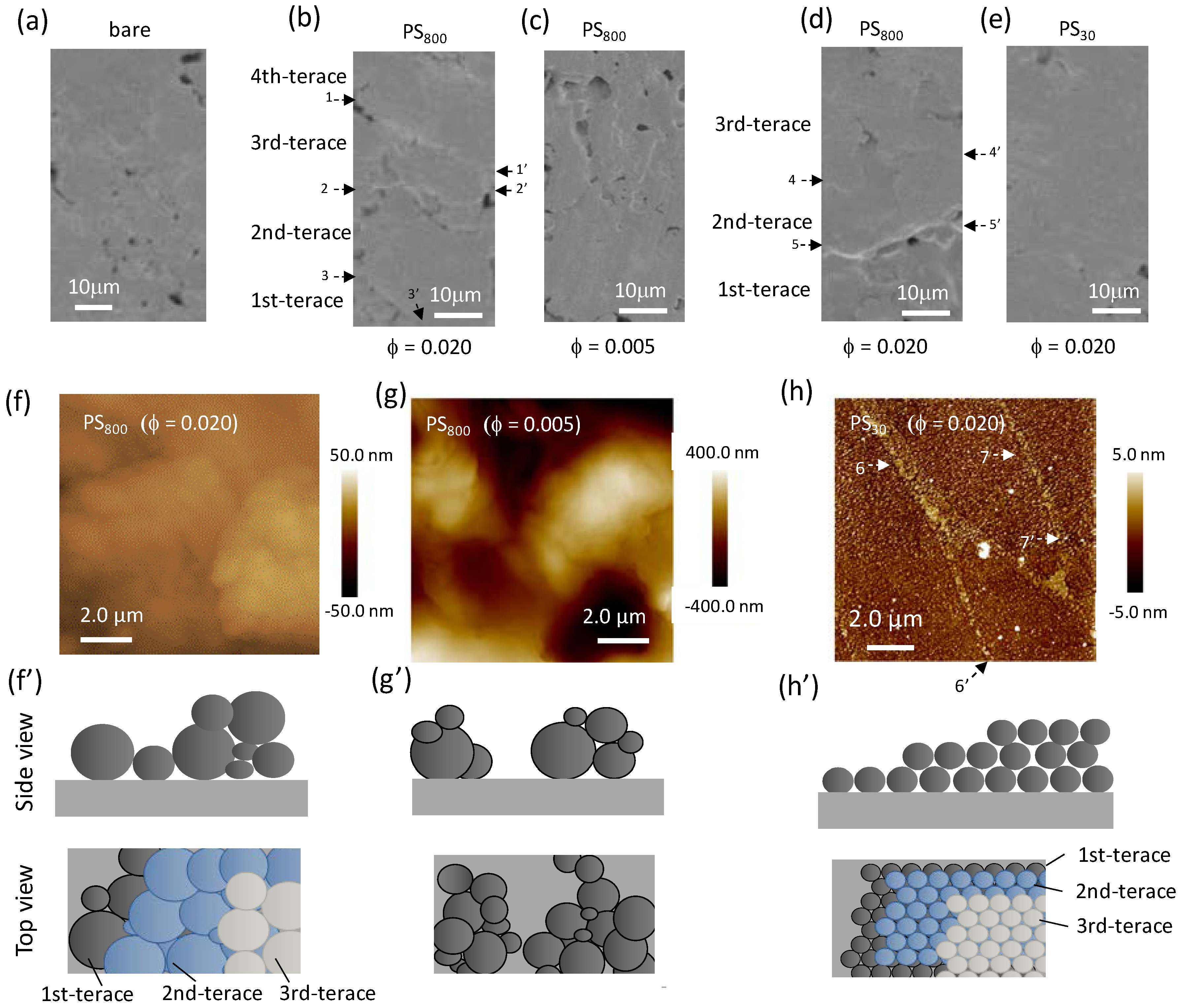 Applsci 14 11326 g004 Applsci 14 11326 g004