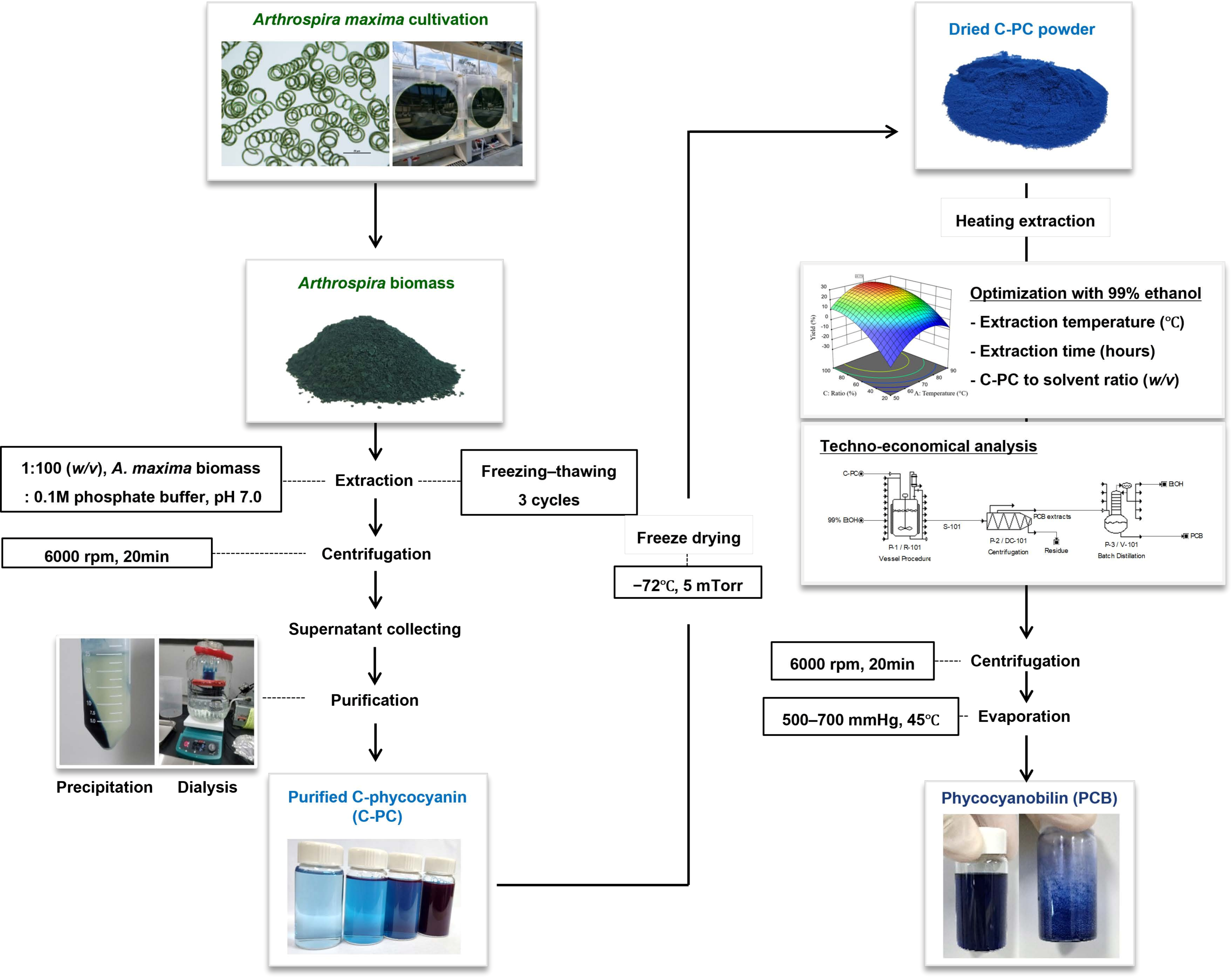 Applsci 14 11440 g001