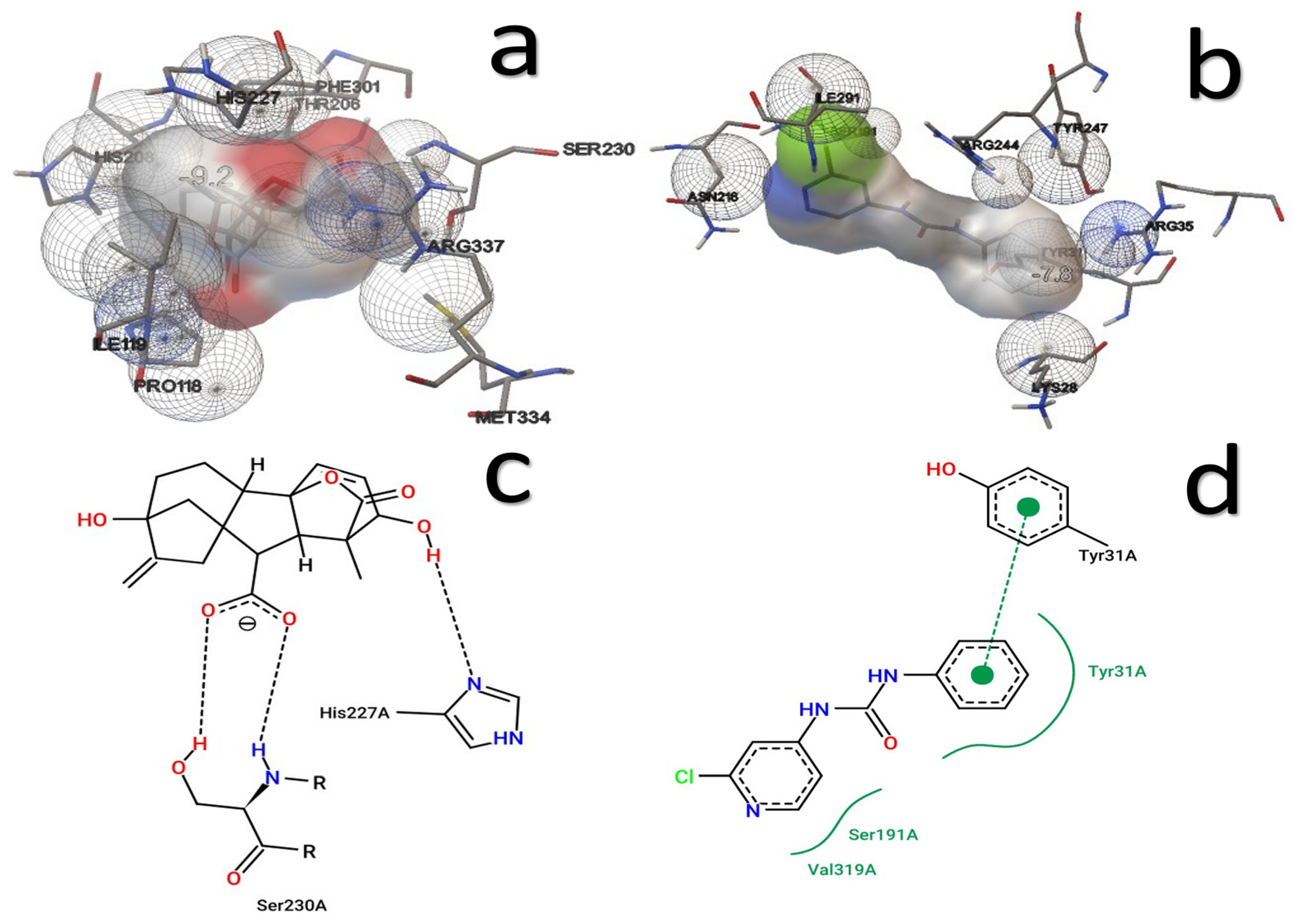 Applsci 14 11522 g006