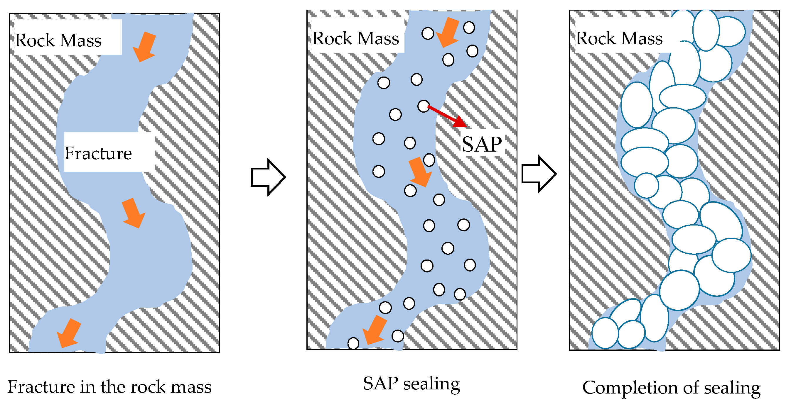 Applsci 14 11595 g001