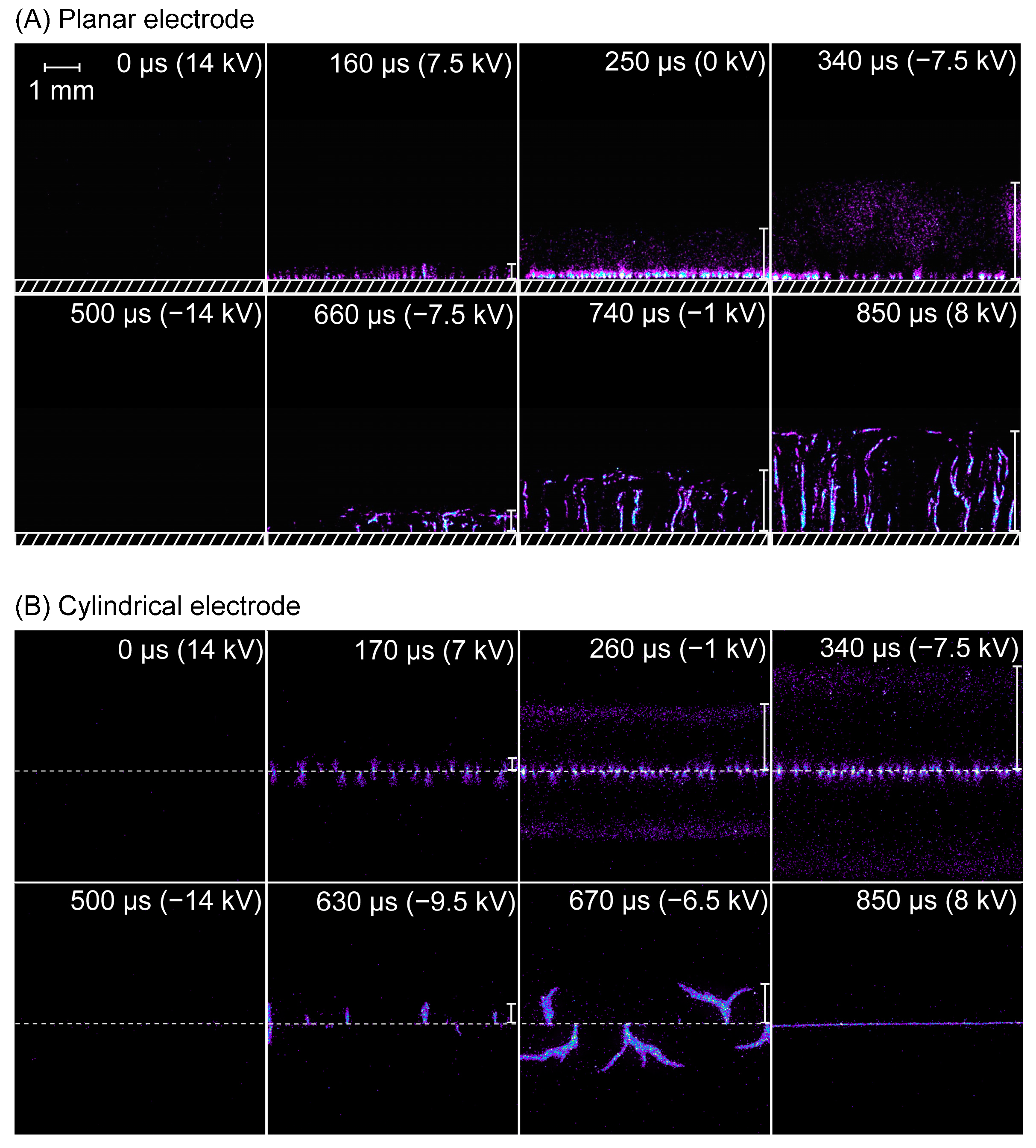 Applsci 14 11596 g002