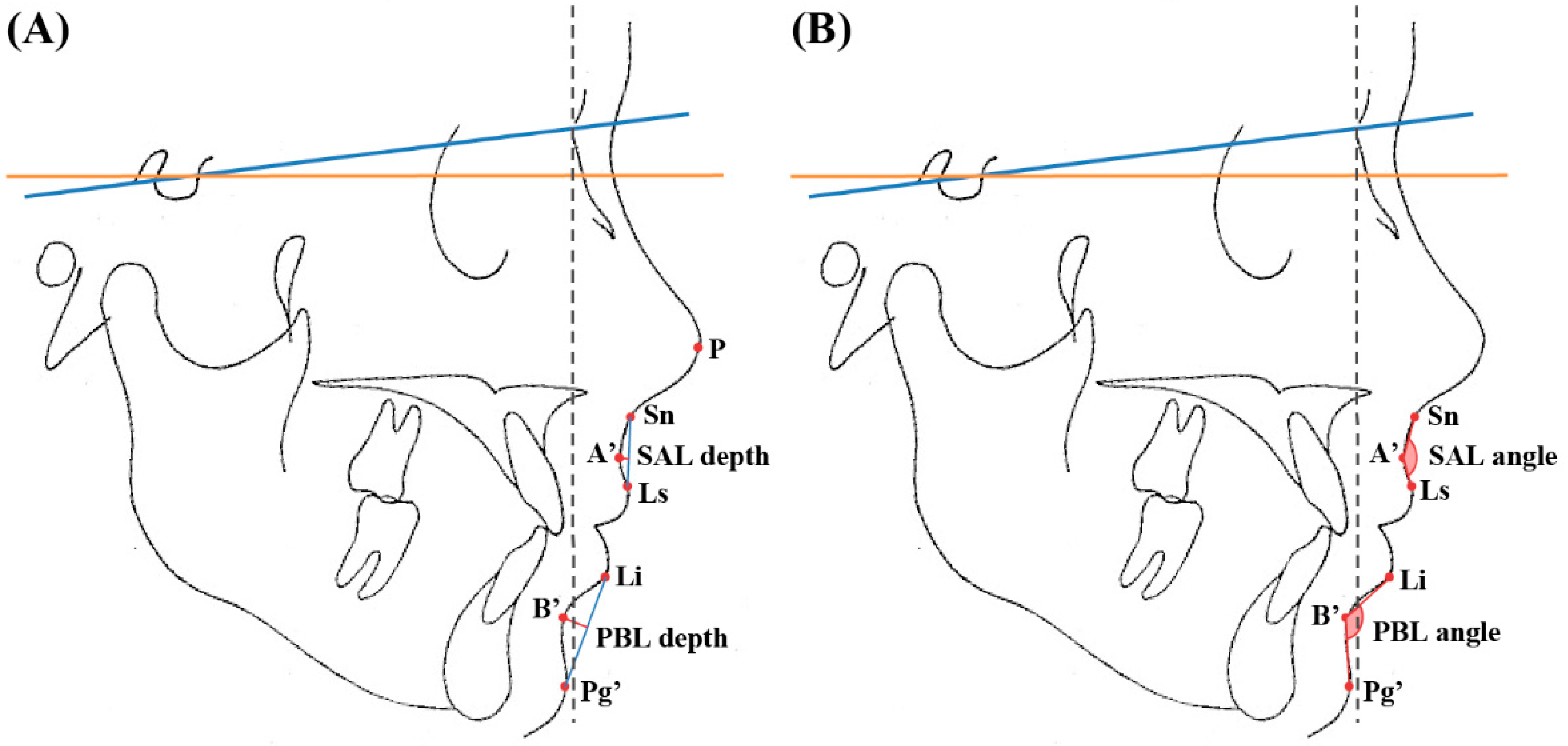 Applsci 14 11715 g002