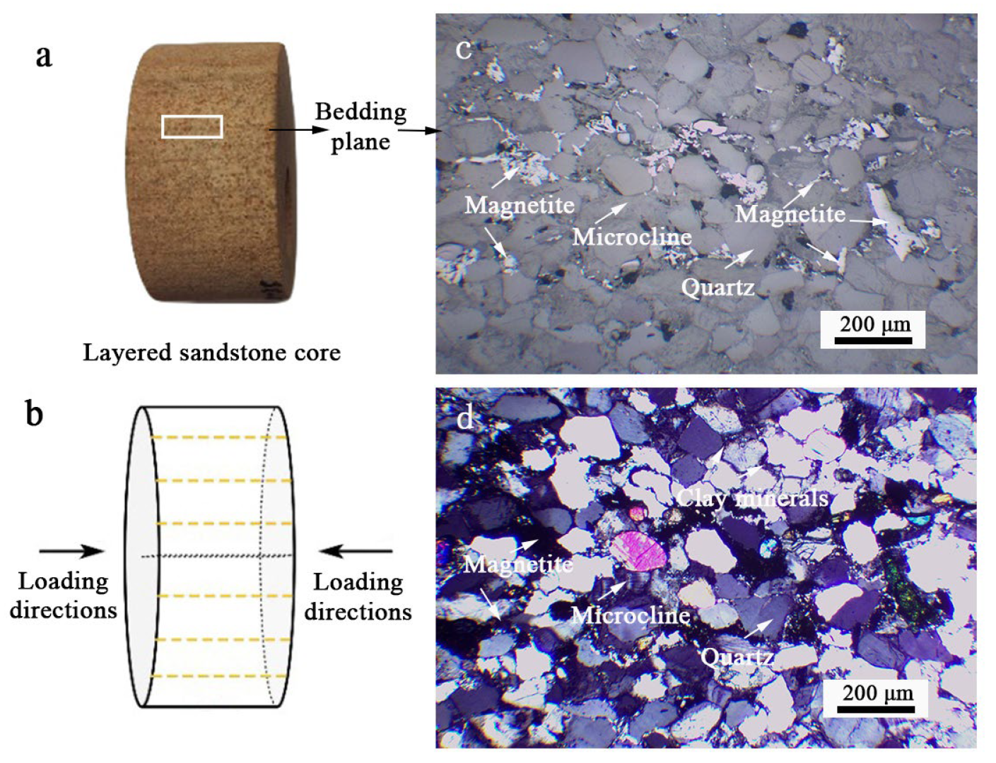 Applsci 14 11729 g001