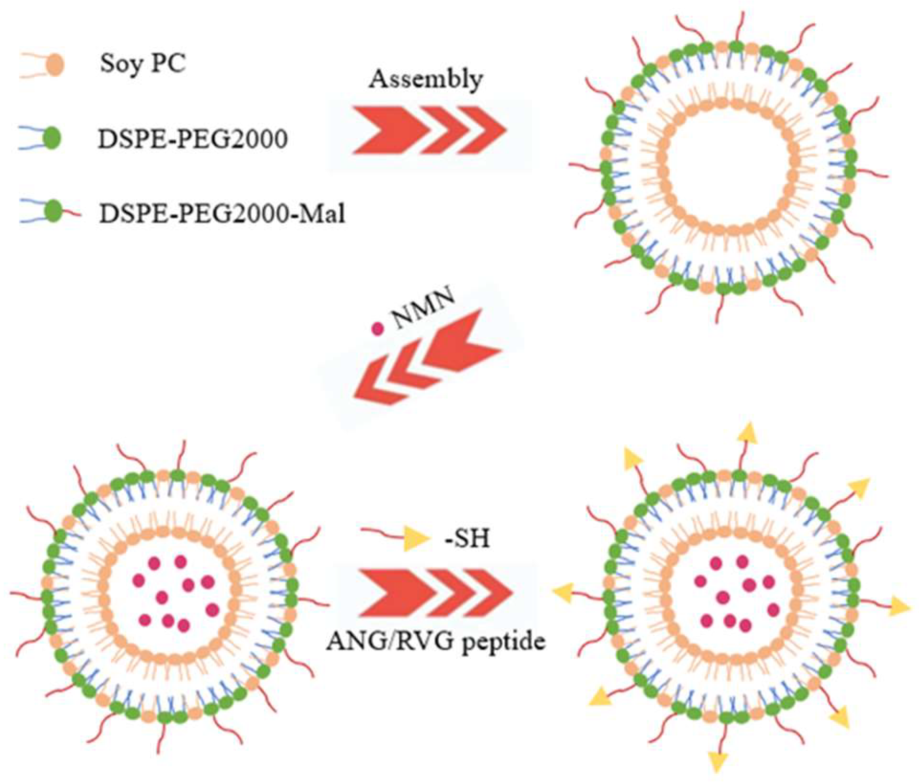 Applsci 14 11732 g001