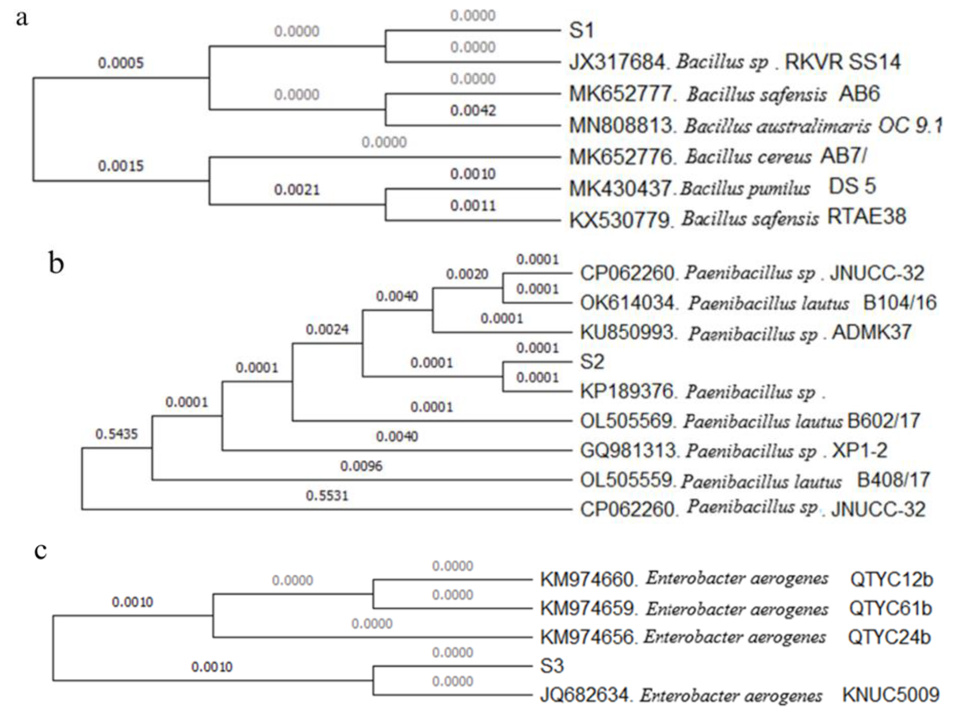 Applsci 14 11976 g005