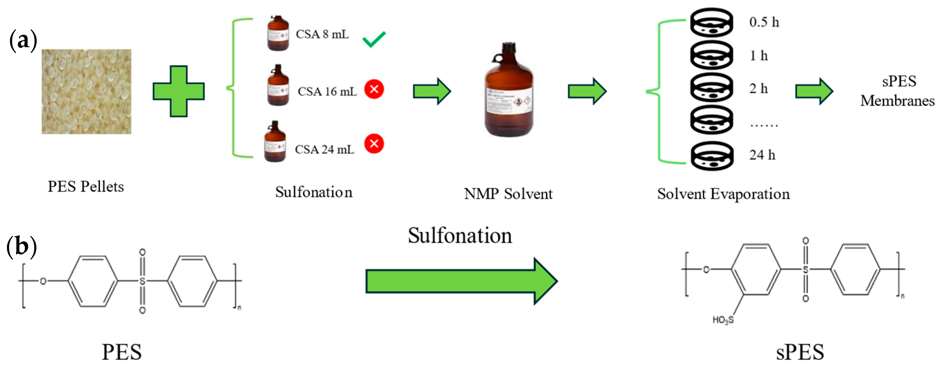 Applsci 15 00216 g002