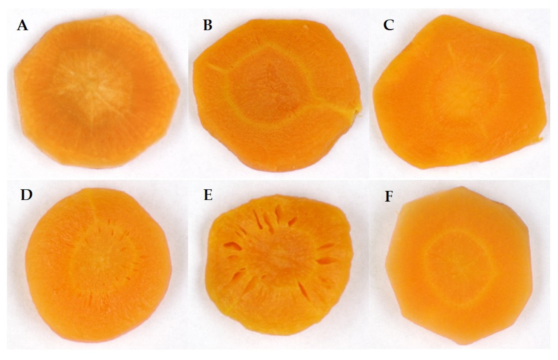 Applsci 15 00254 g001 Applsci 15 00254 g001