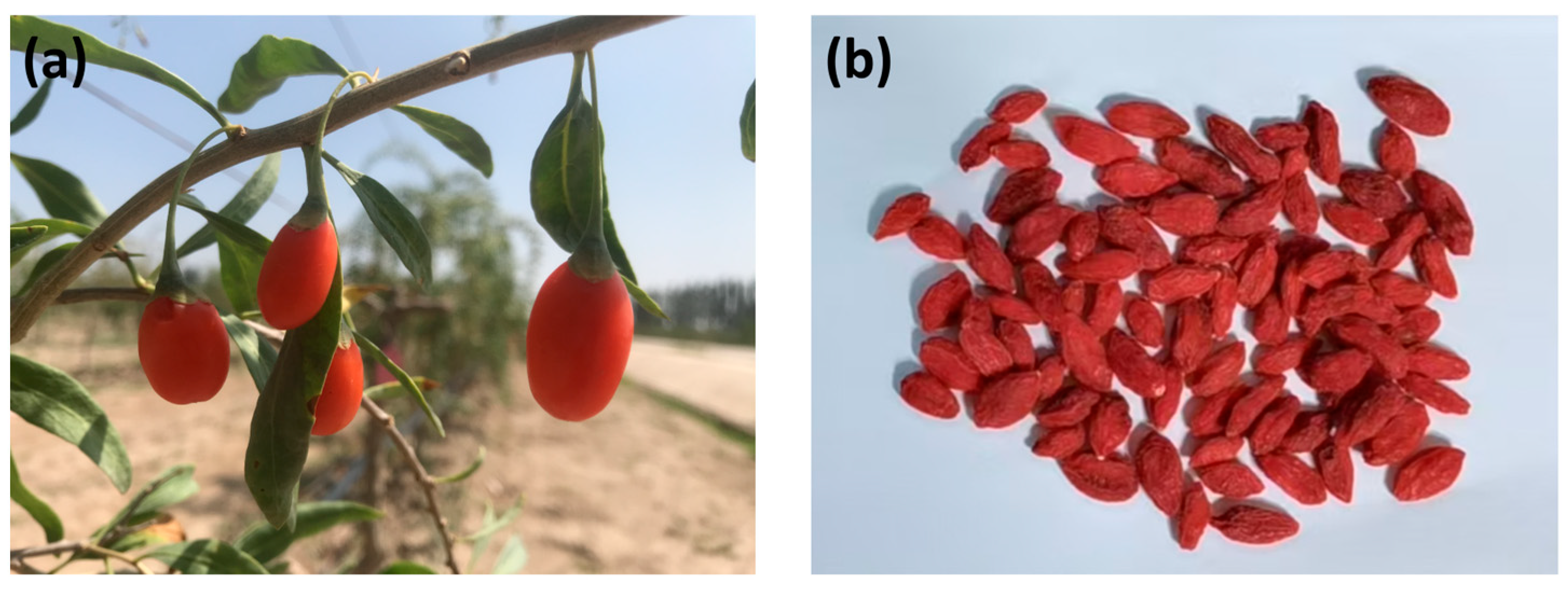 Applsci 15 00262 g001