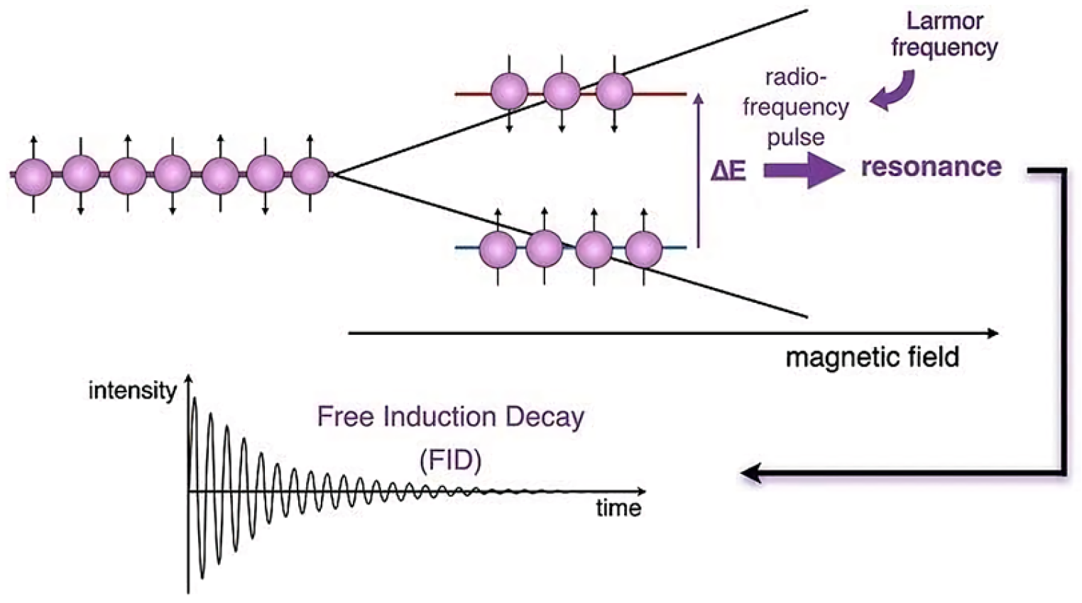 Applsci 15 00323 g003
