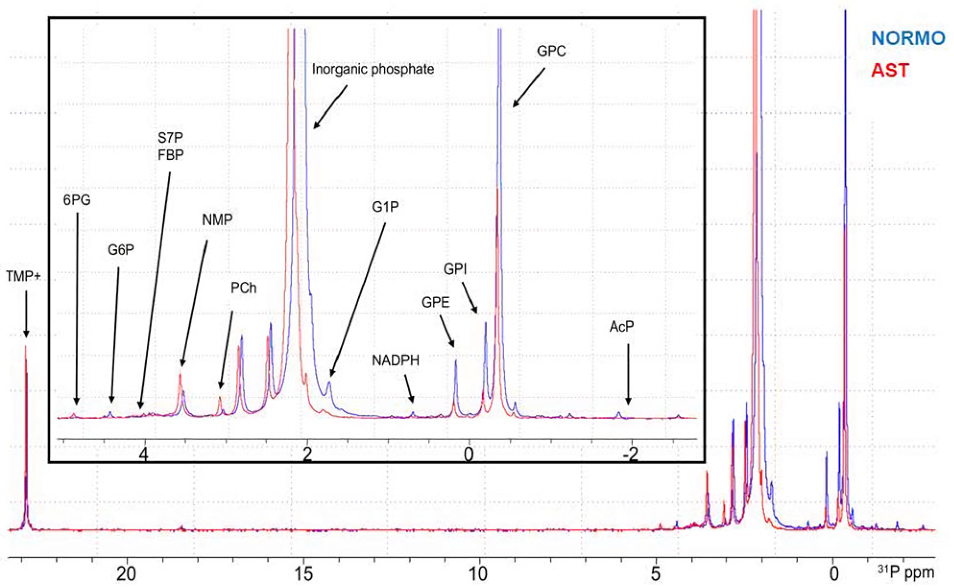 Applsci 15 00323 g007