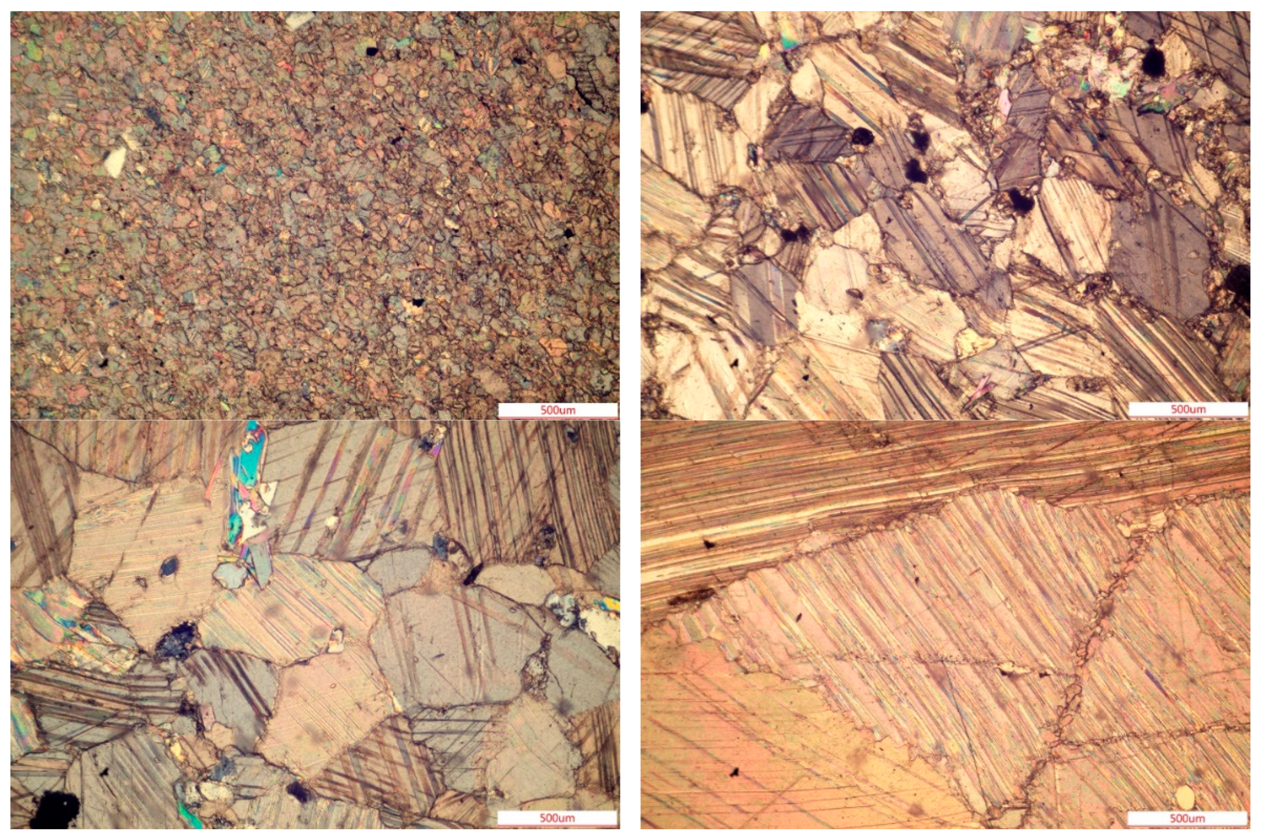 Applsci 15 00561 g002