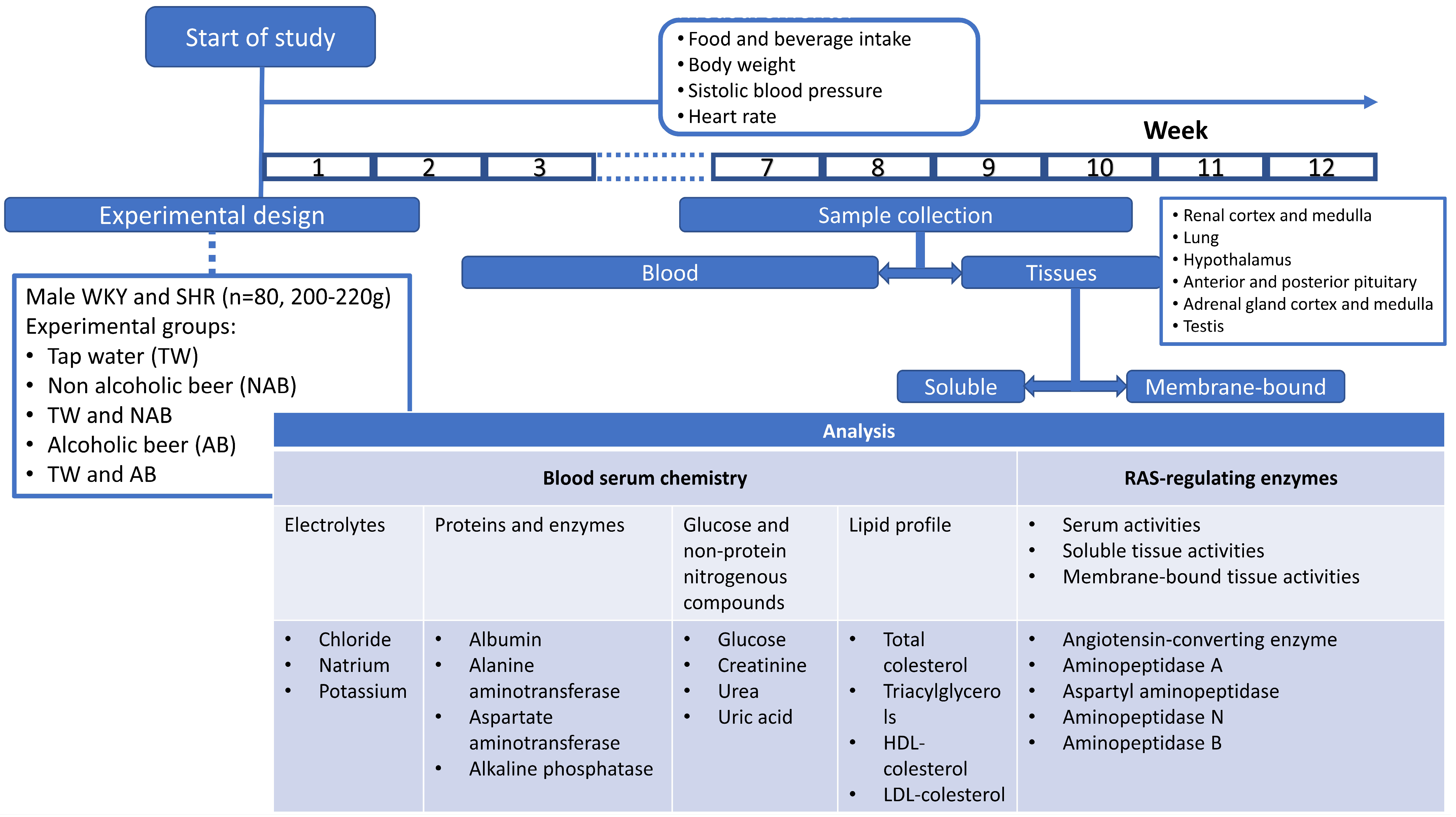 Applsci 15 00572 g001 Applsci 15 00572 g001