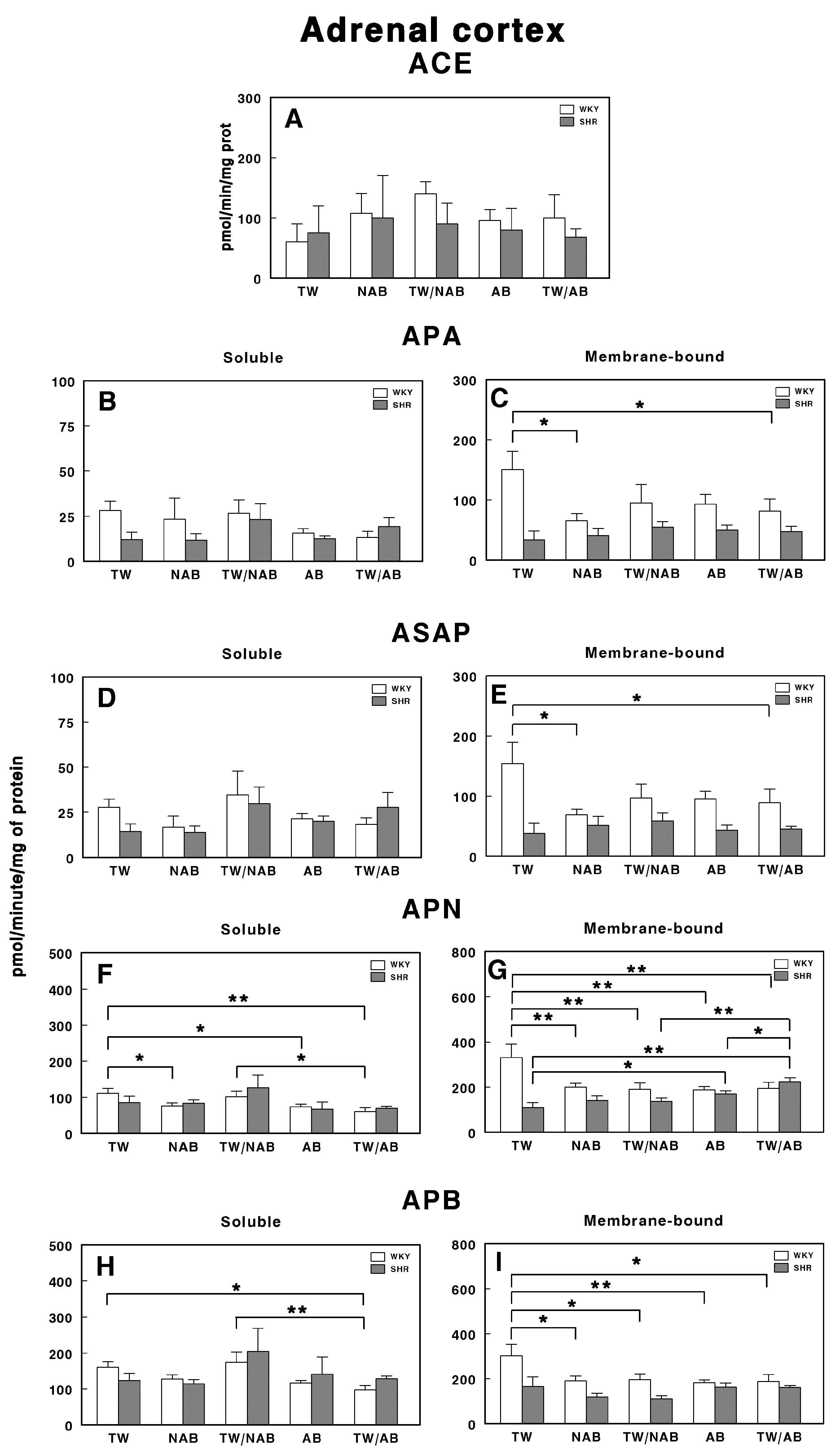 Applsci 15 00572 g017 Applsci 15 00572 g017