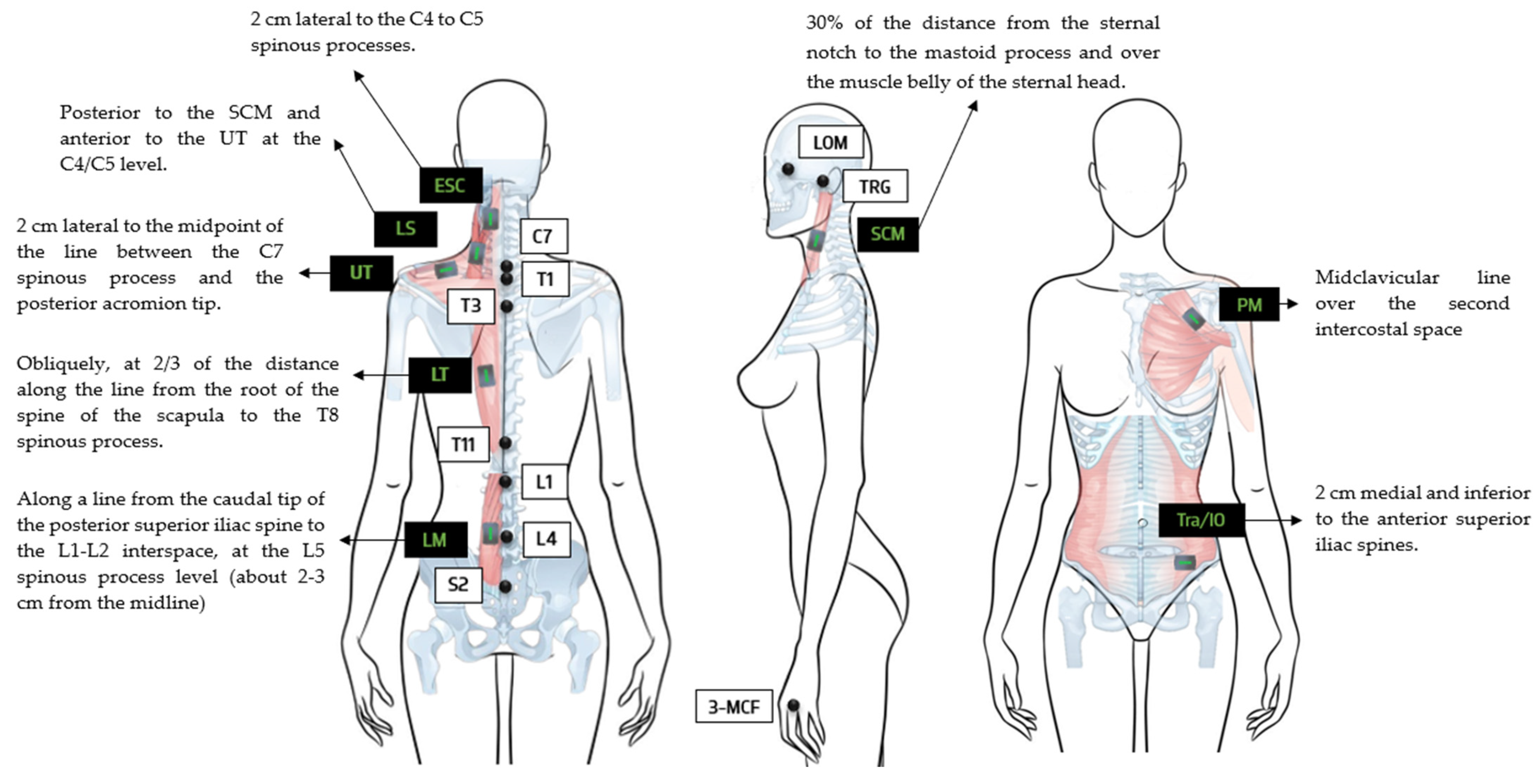 Applsci 15 00579 g002