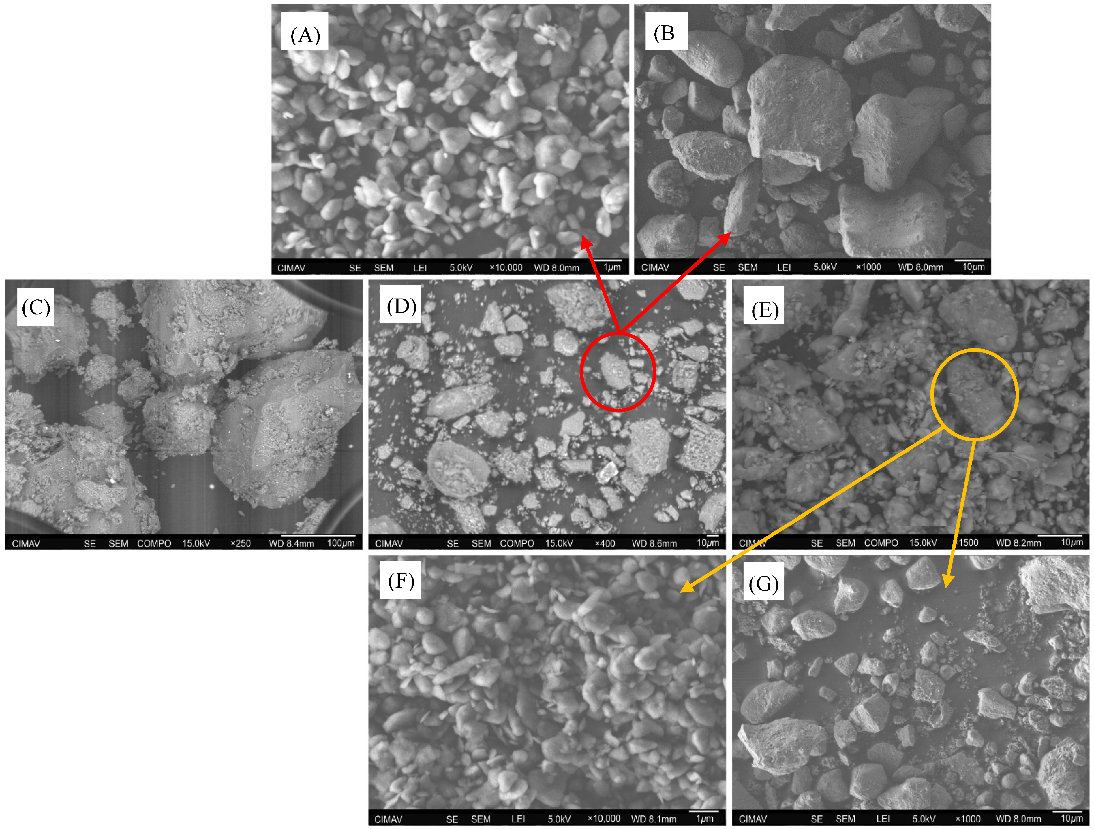 Applsci 15 00609 g004 Applsci 15 00609 g004