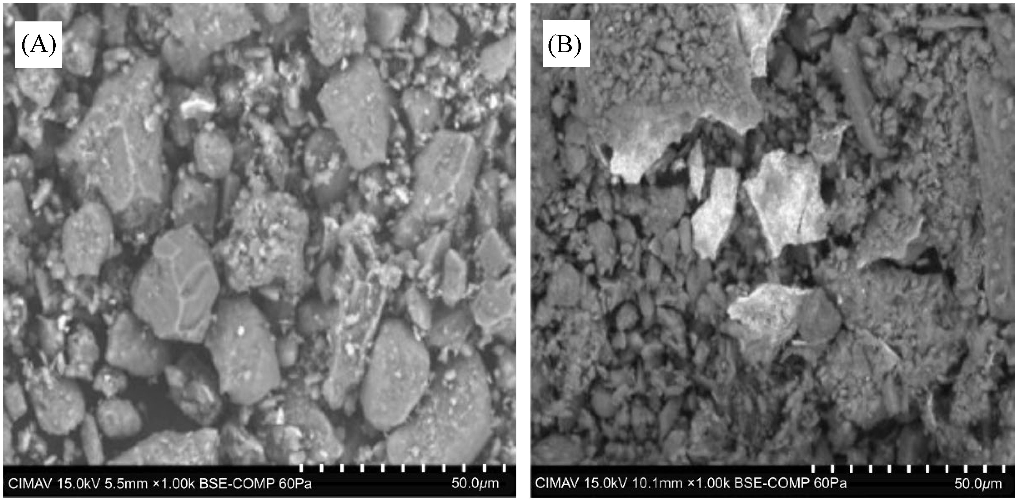 Applsci 15 00609 g006 Applsci 15 00609 g006