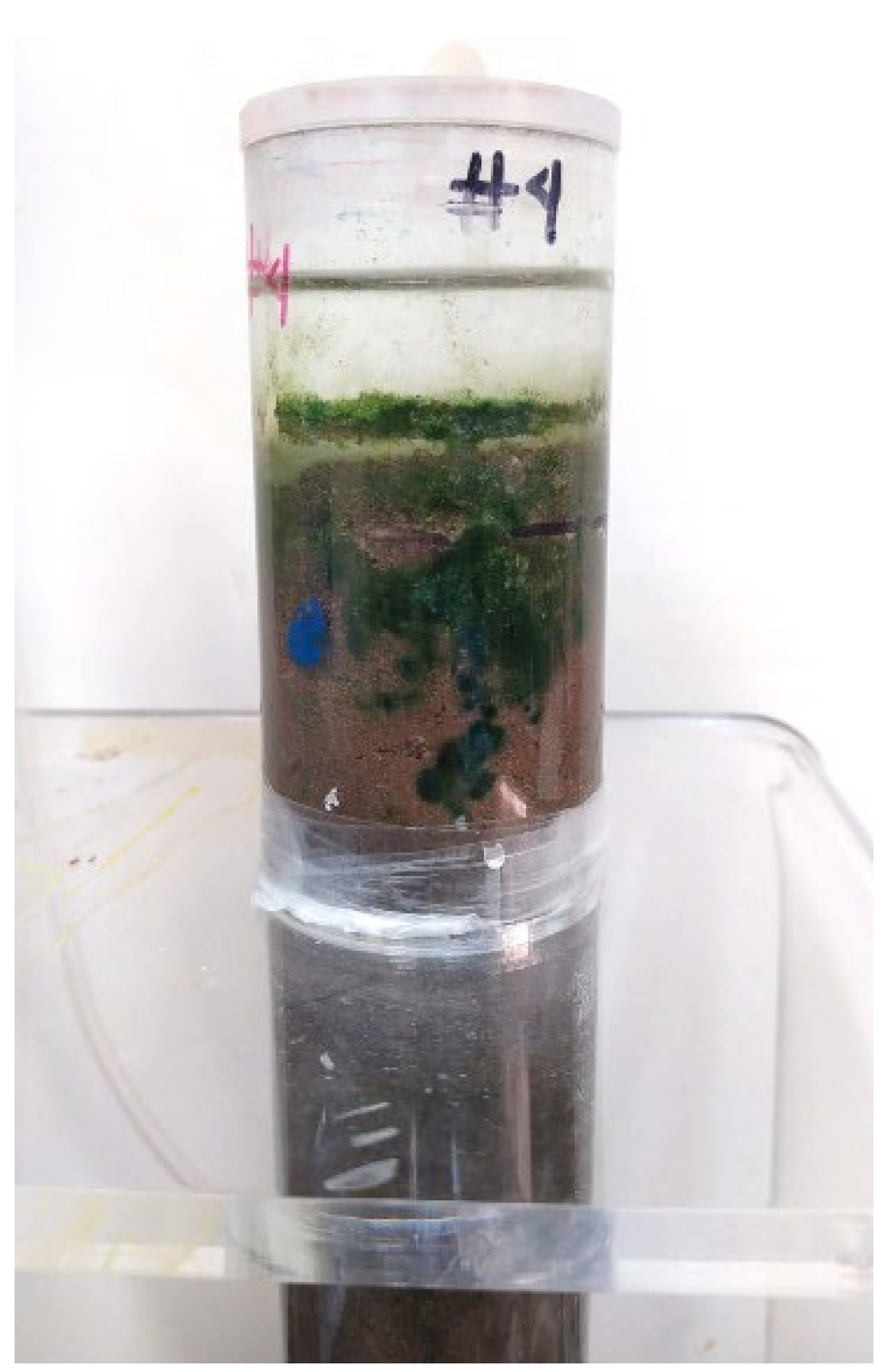 Applsci 15 00609 g0b7 Applsci 15 00609 g0b7