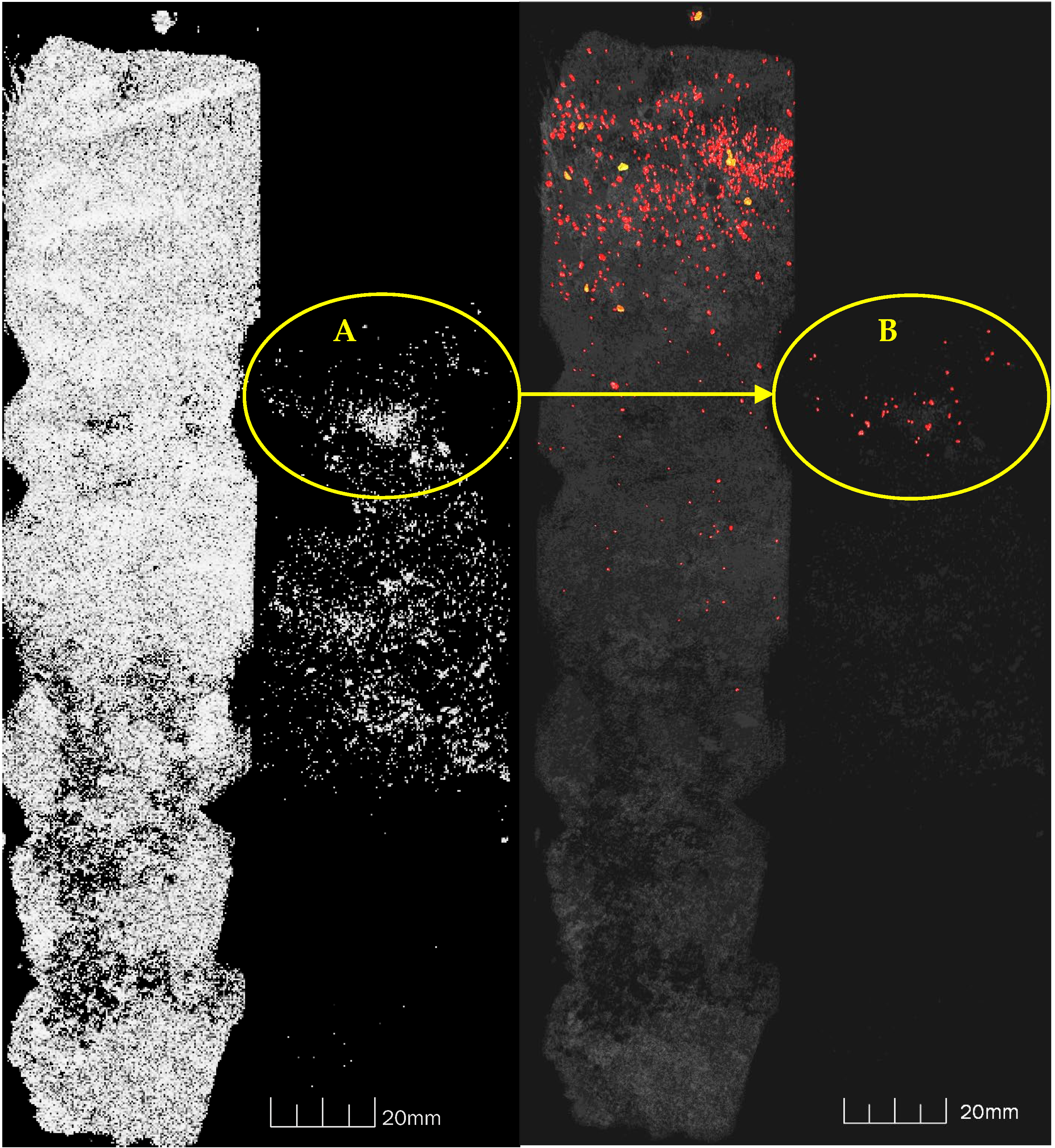 Applsci 15 00609 g0b8 Applsci 15 00609 g0b8