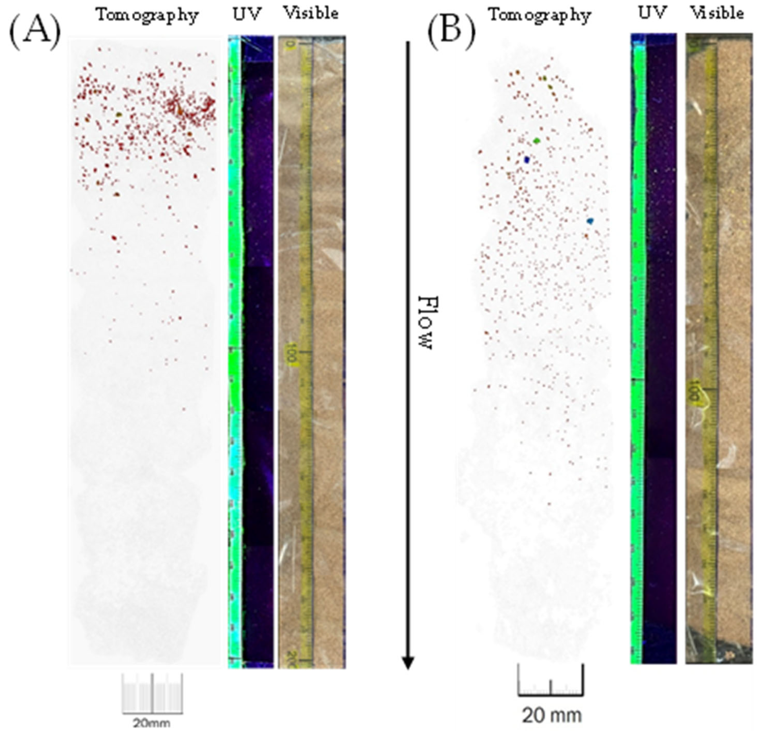 Applsci 15 00609 g0b9 Applsci 15 00609 g0b9